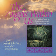 Angels Within Us: A Spiritual Guide to the Twenty-Two Angels That Govern Our Lives used book depot