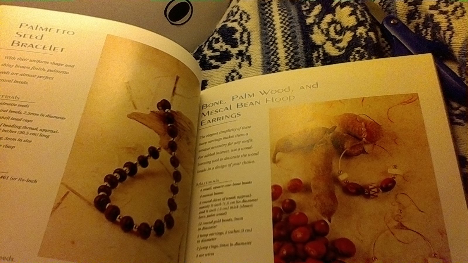 Jewelry From Nature: 45 Great Projects Using Sticks & Stones, Seeds & Bones used book depot