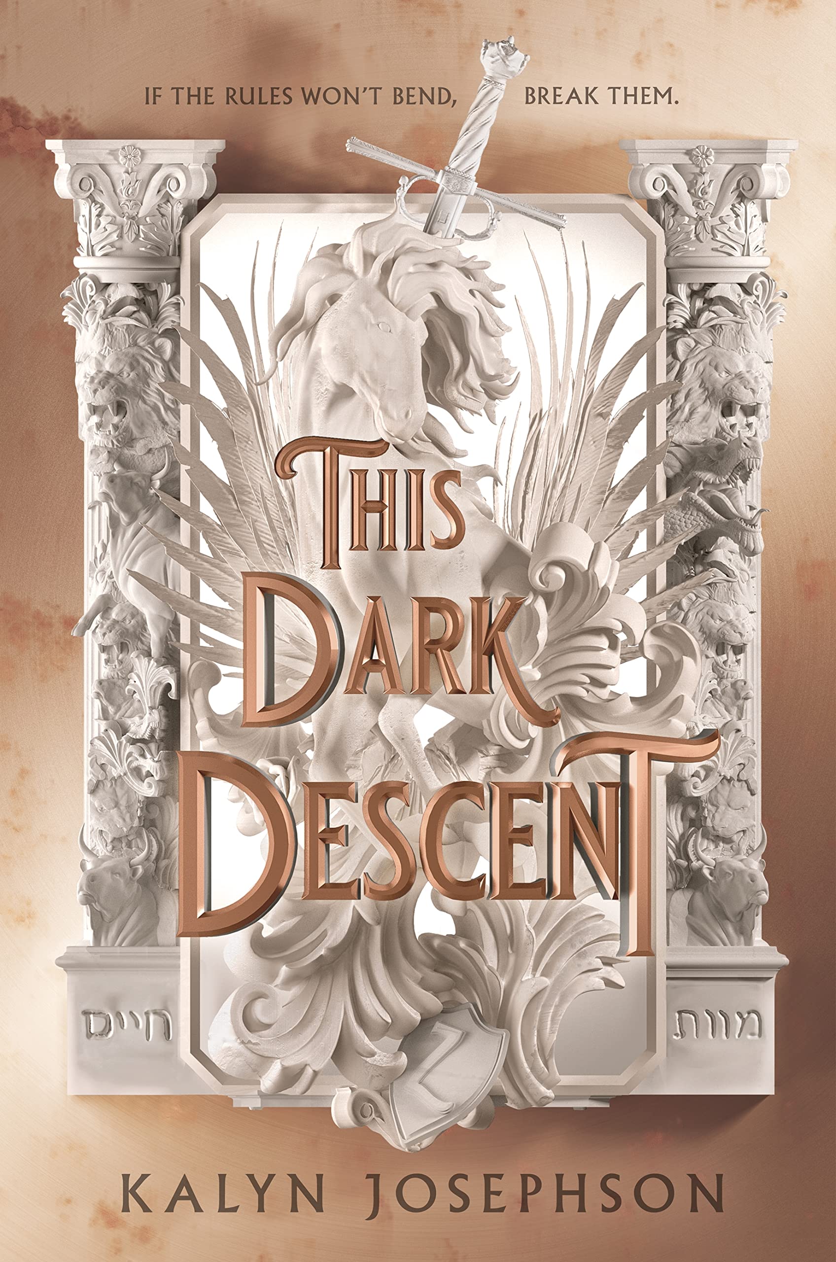 This Dark Descent (A This Dark Descent Novel) used book depot