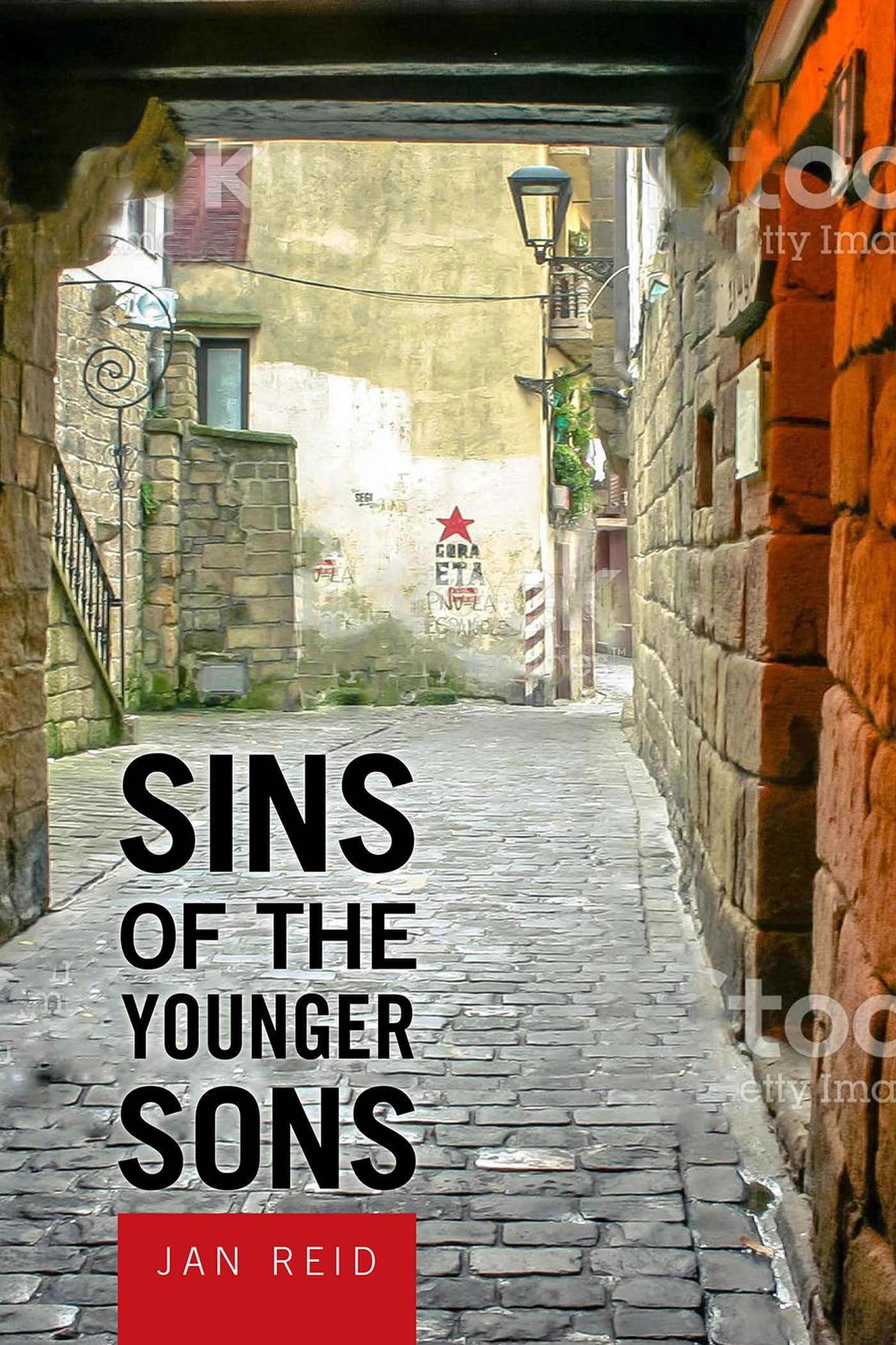 Sins of the Younger Sons used book depot