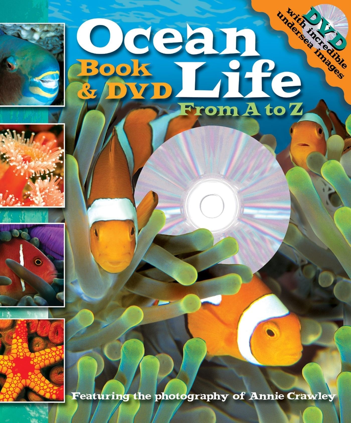 Ocean Life From A to Z Book and DVD (Readers Book & DVD) used book depot
