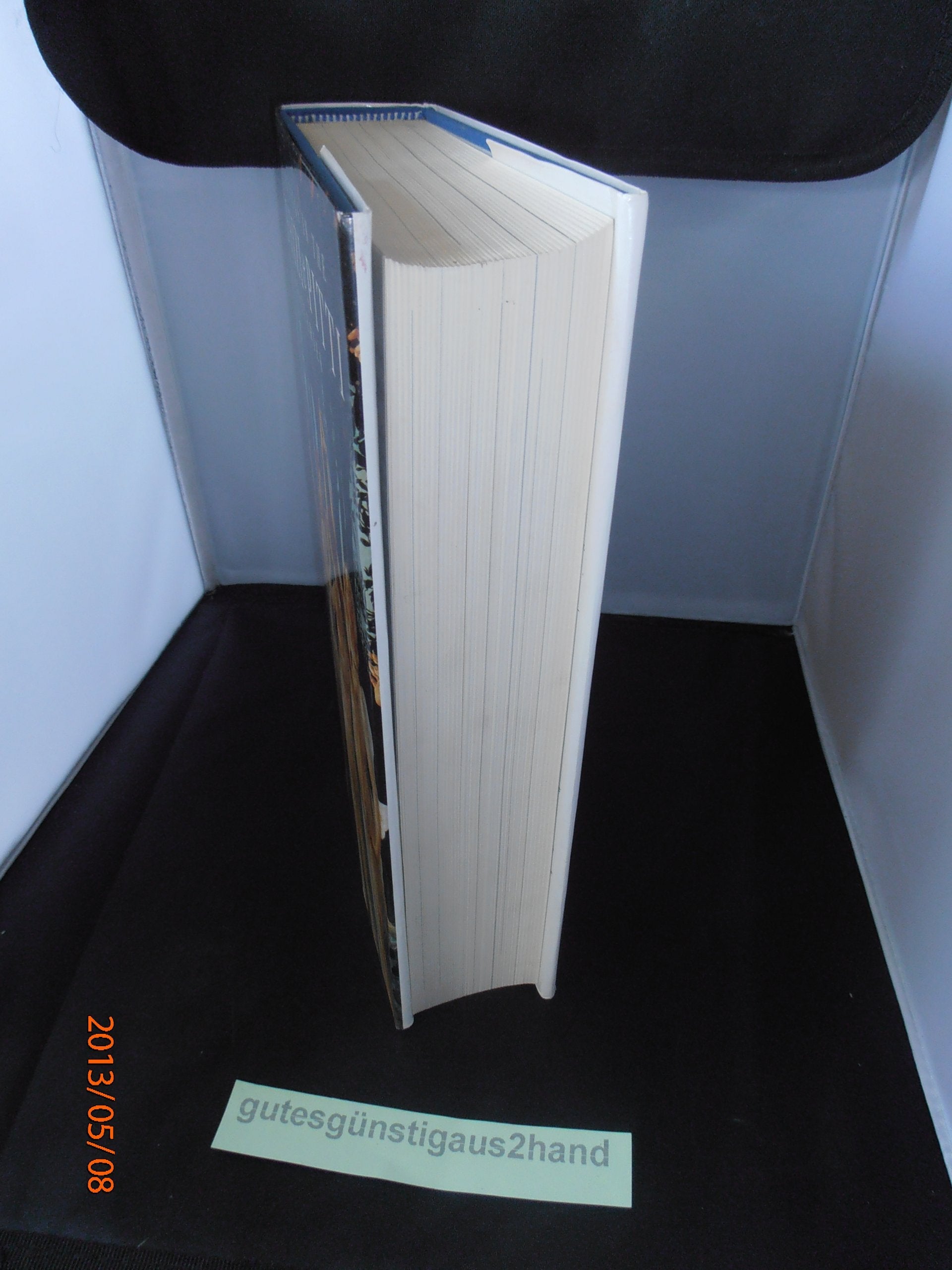 Paintings in the Uffizi and Pitti Galleries used book depot