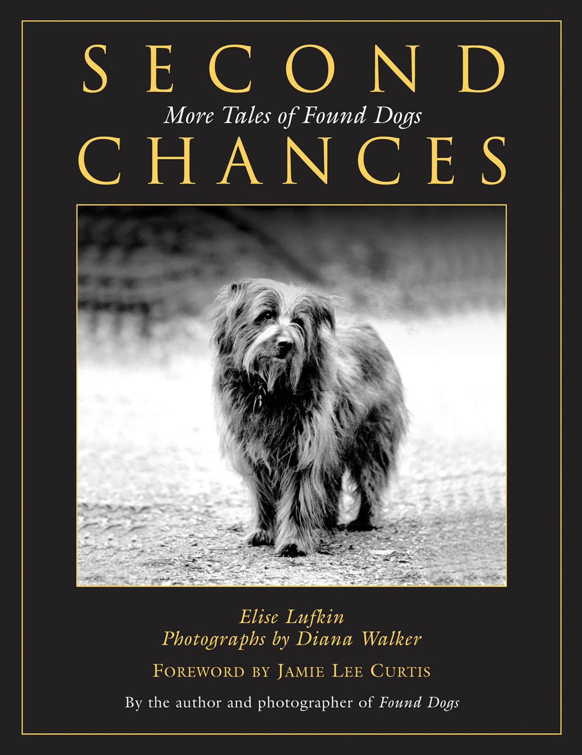 Second Chances: More Tales Of Found Dogs used book depot