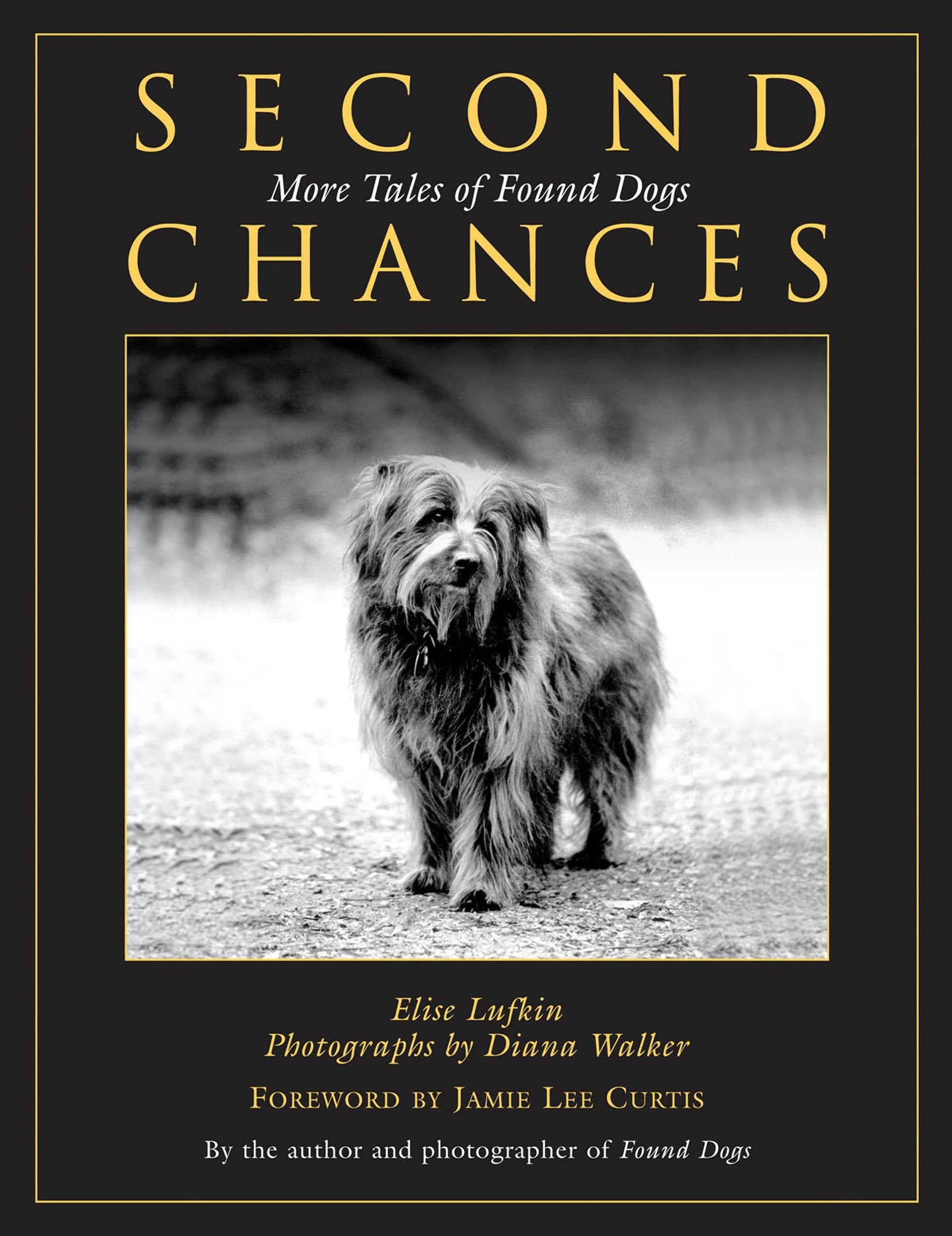 Second Chances: More Tales Of Found Dogs used book depot
