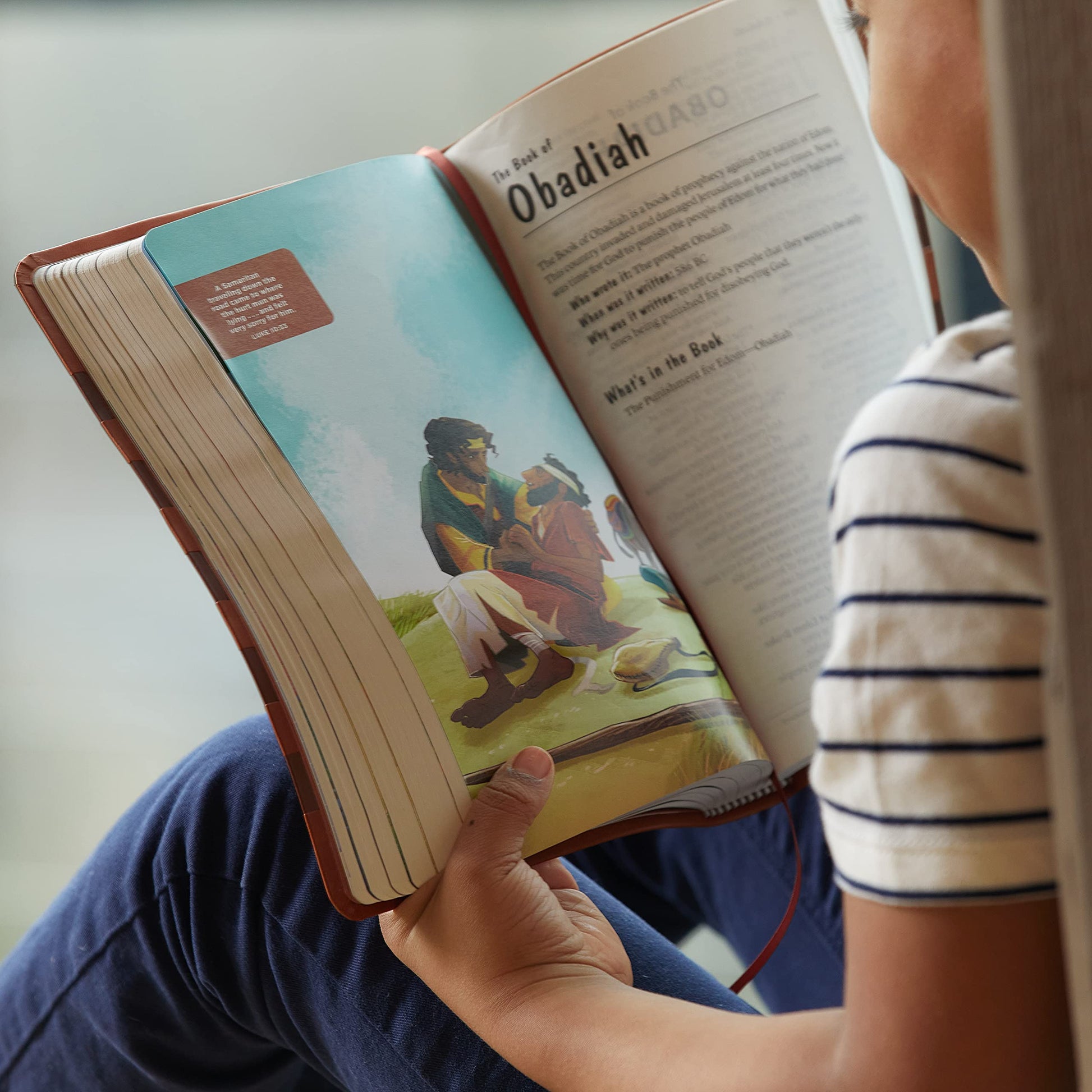 ICB, Holy Bible, Hardcover: International Children's Bible used book depot