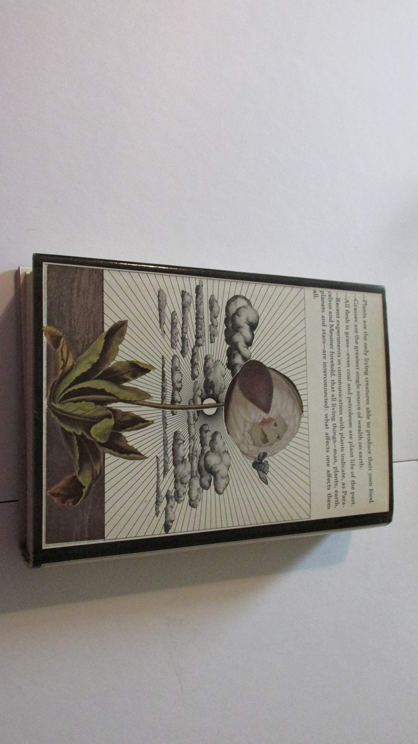 The Secret Life of Plants used book depot