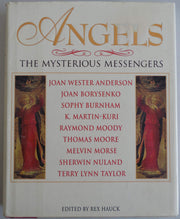 Angels: The Mysterious Messengers used book depot