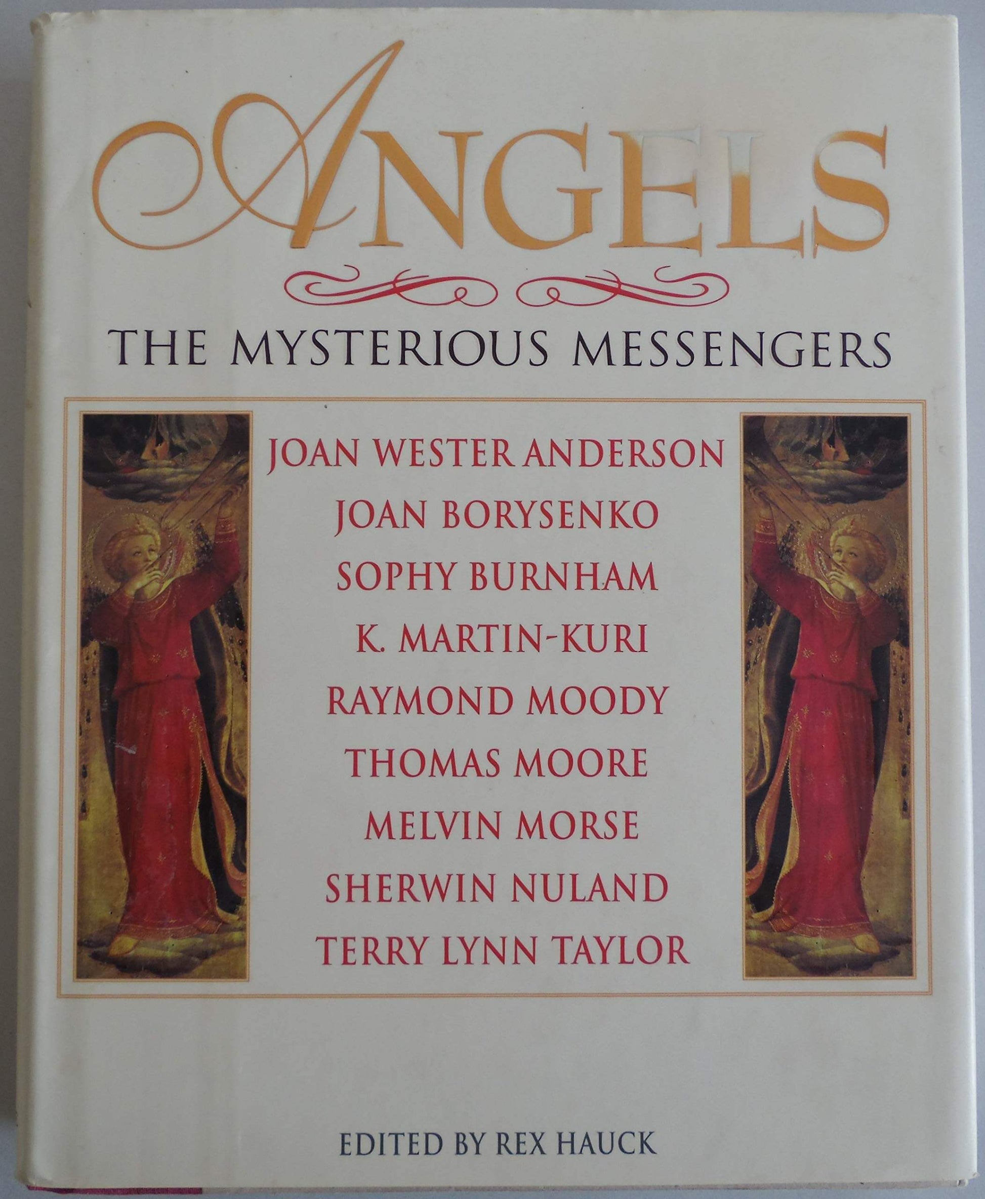 Angels: The Mysterious Messengers used book depot
