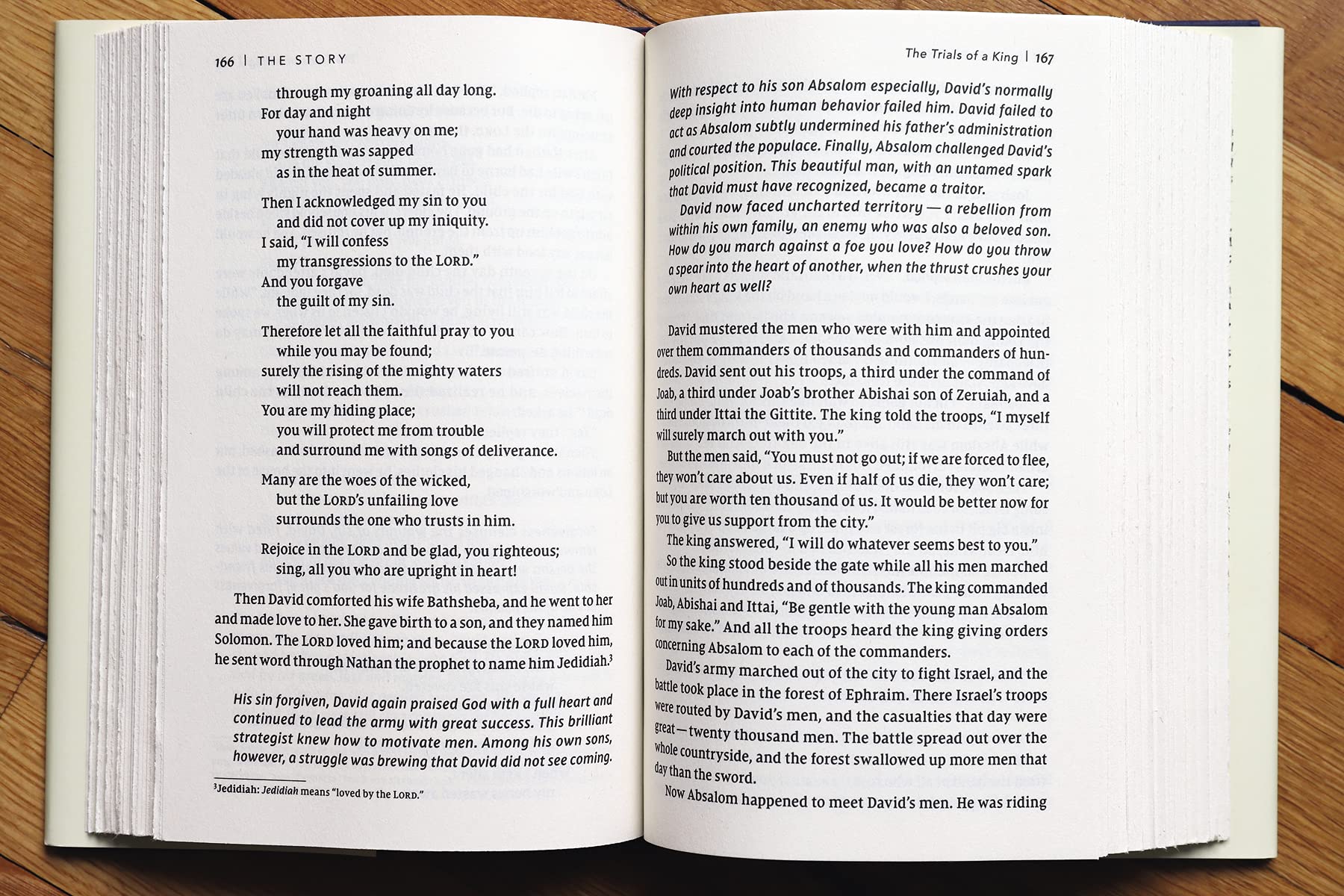 NIV, The Story, Hardcover, Comfort Print: The Bible as One Continuing Story of God and His People used book depot