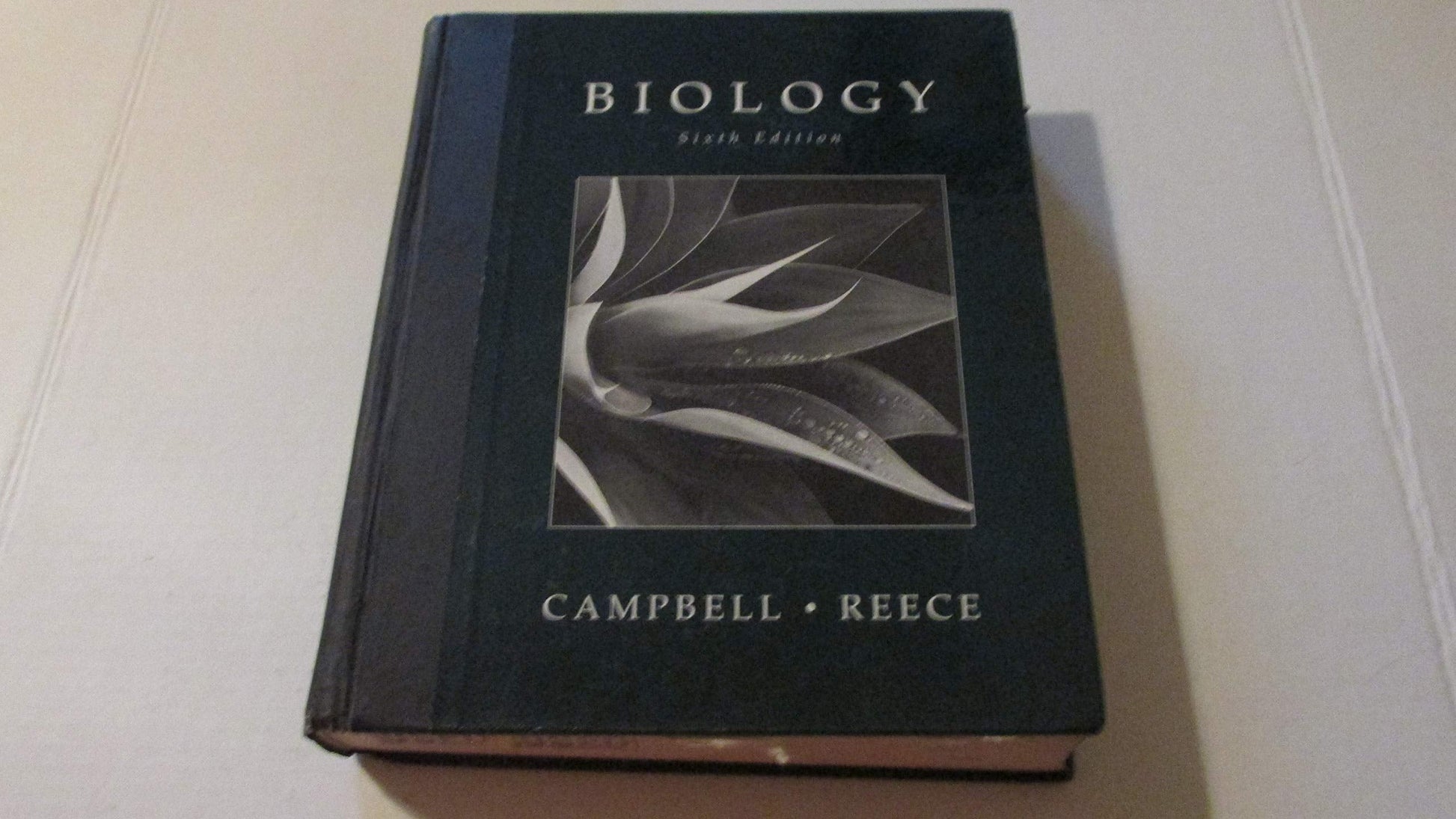 Biology, 6th Edition used book depot