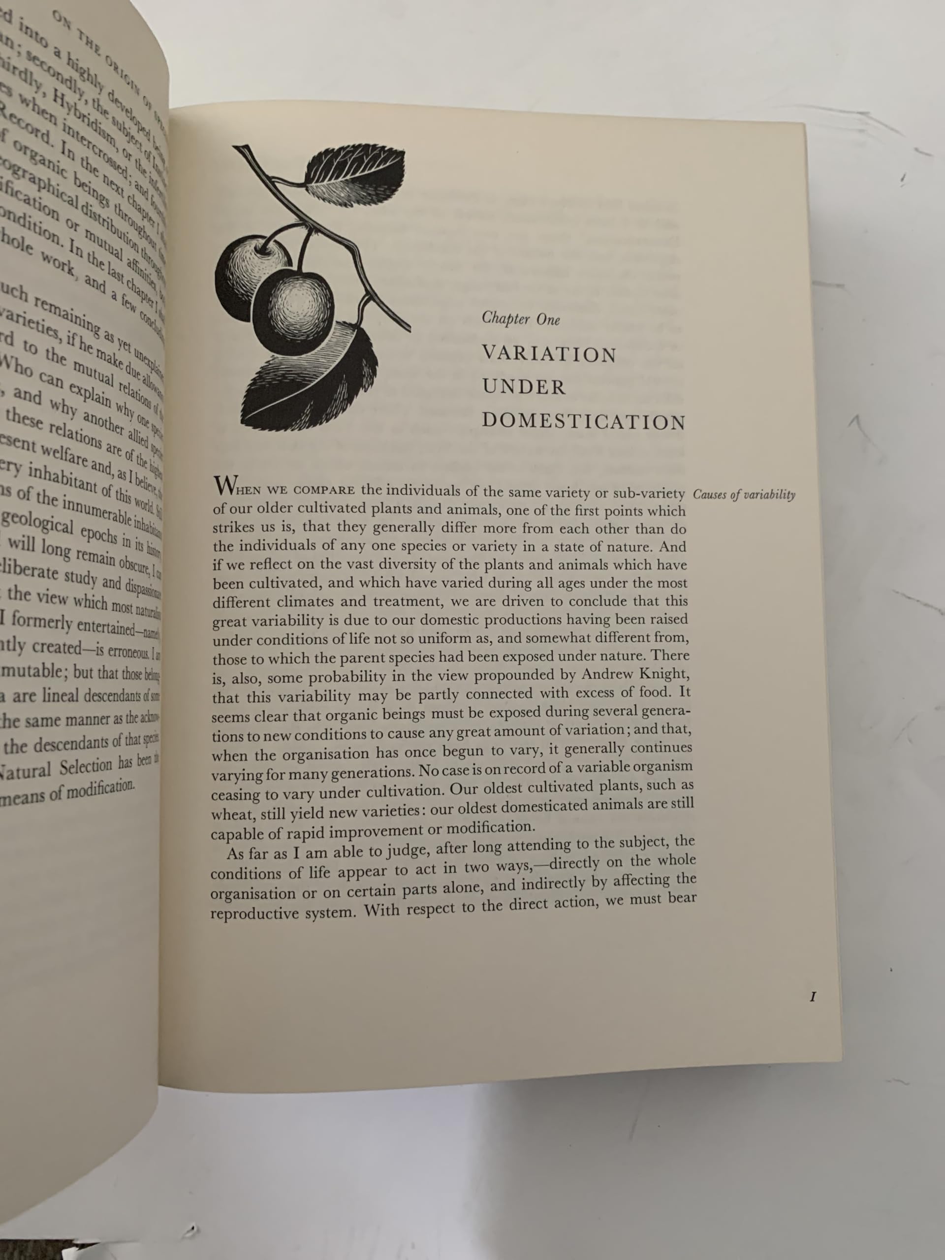 PT05