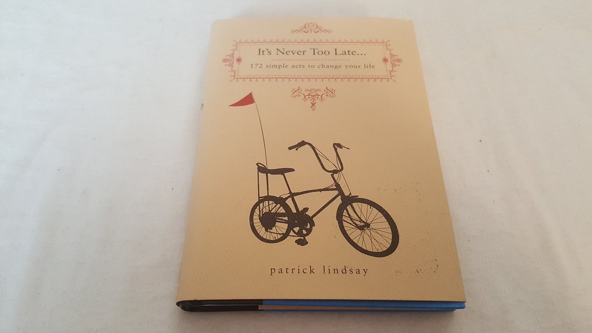 It's Never Too Late: 172 Simple Acts to Change Your Life used book depot