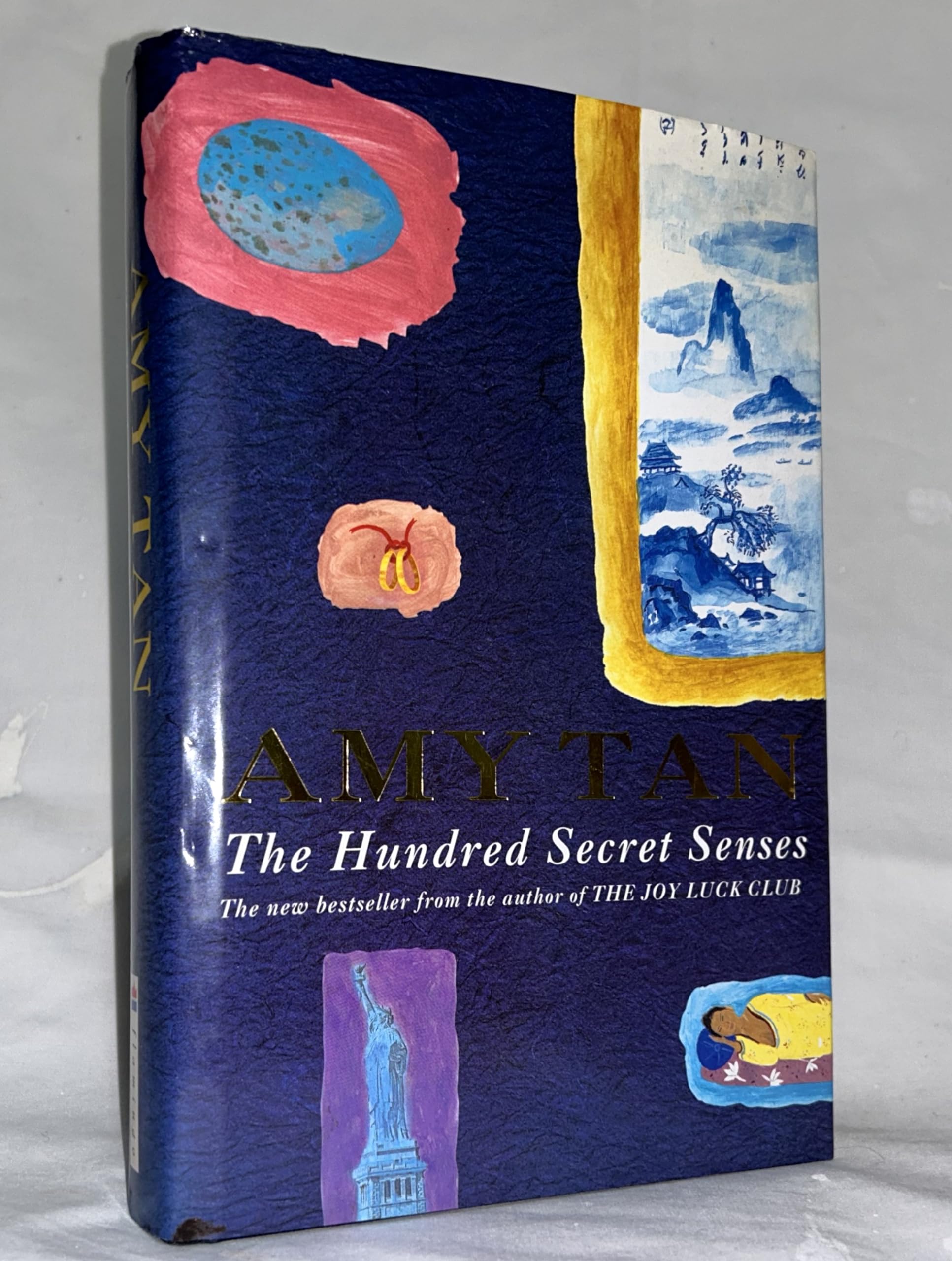 The Hundred Secret Senses used book depot