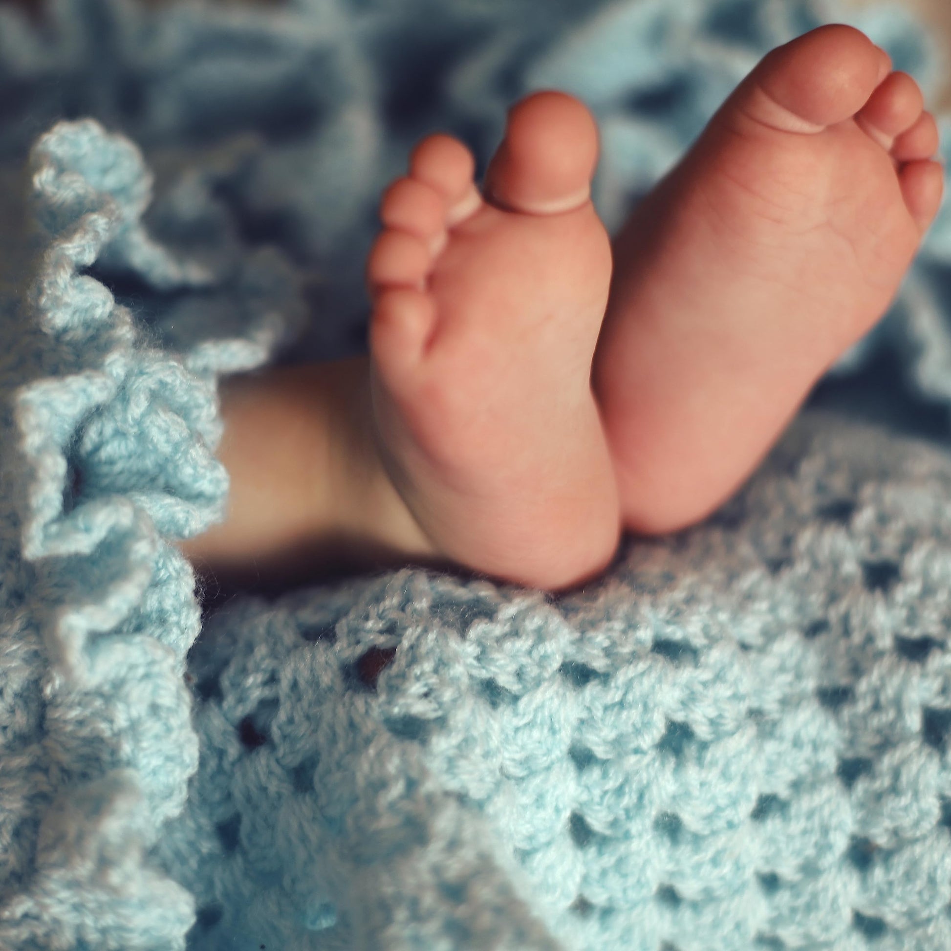 Afghans for All Seasons-52 Tried and True Favorites from Leisure Arts, All in One Spectacular Edition used book depot