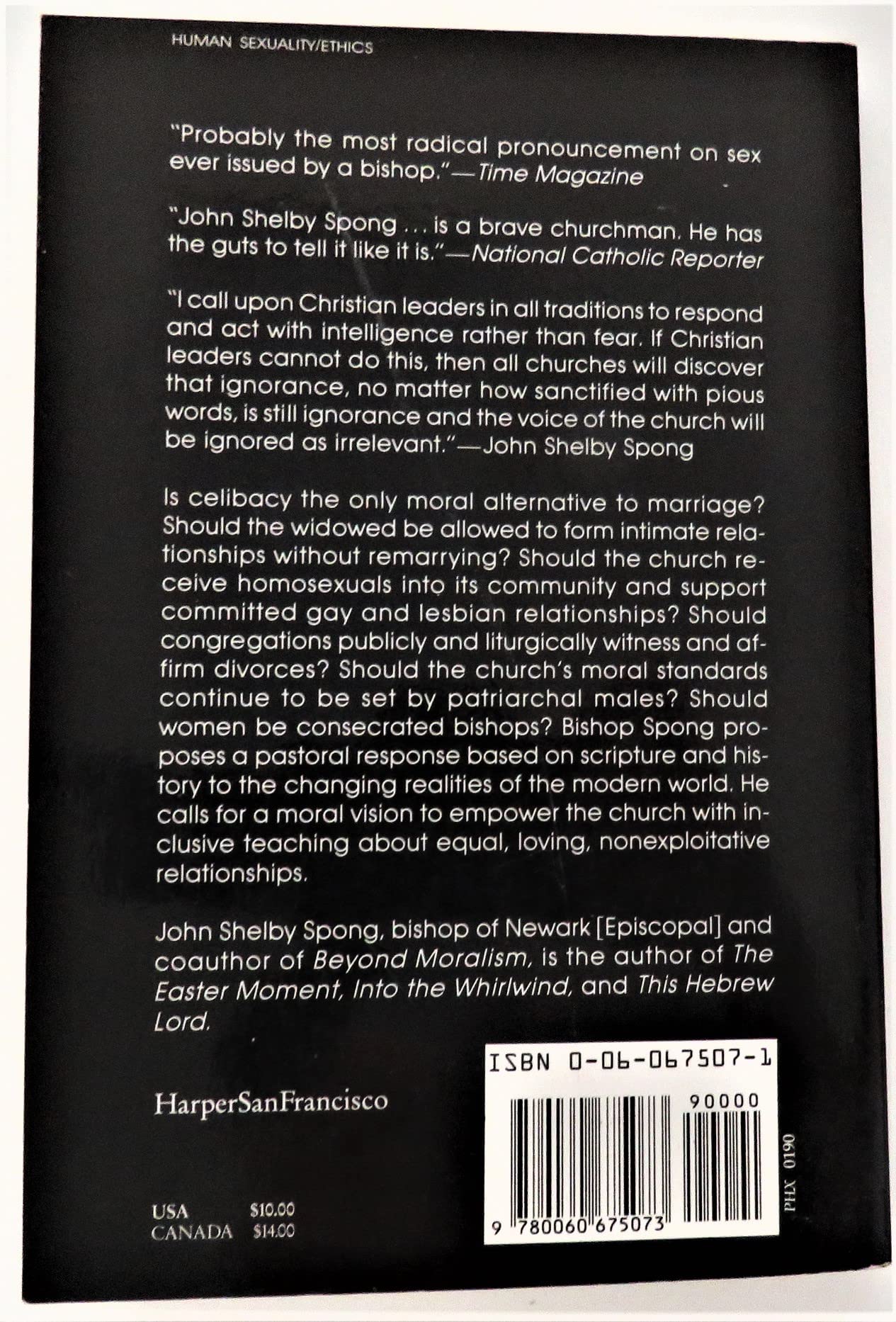 Living in Sin?: A Bishop Rethinks Human Sexuality used book depot