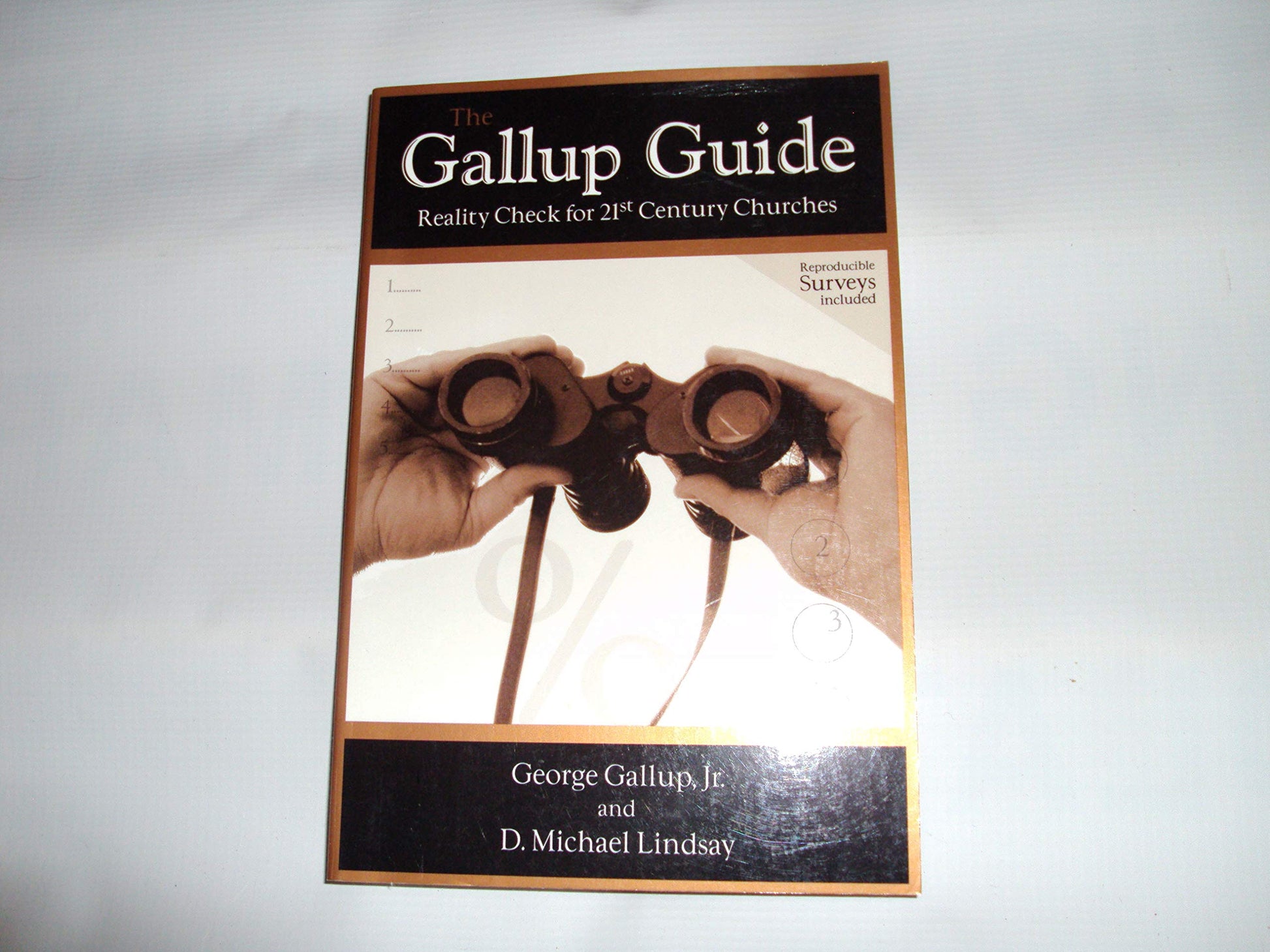 The Gallup Guide: Reality Check for 21st Century Churches used book depot