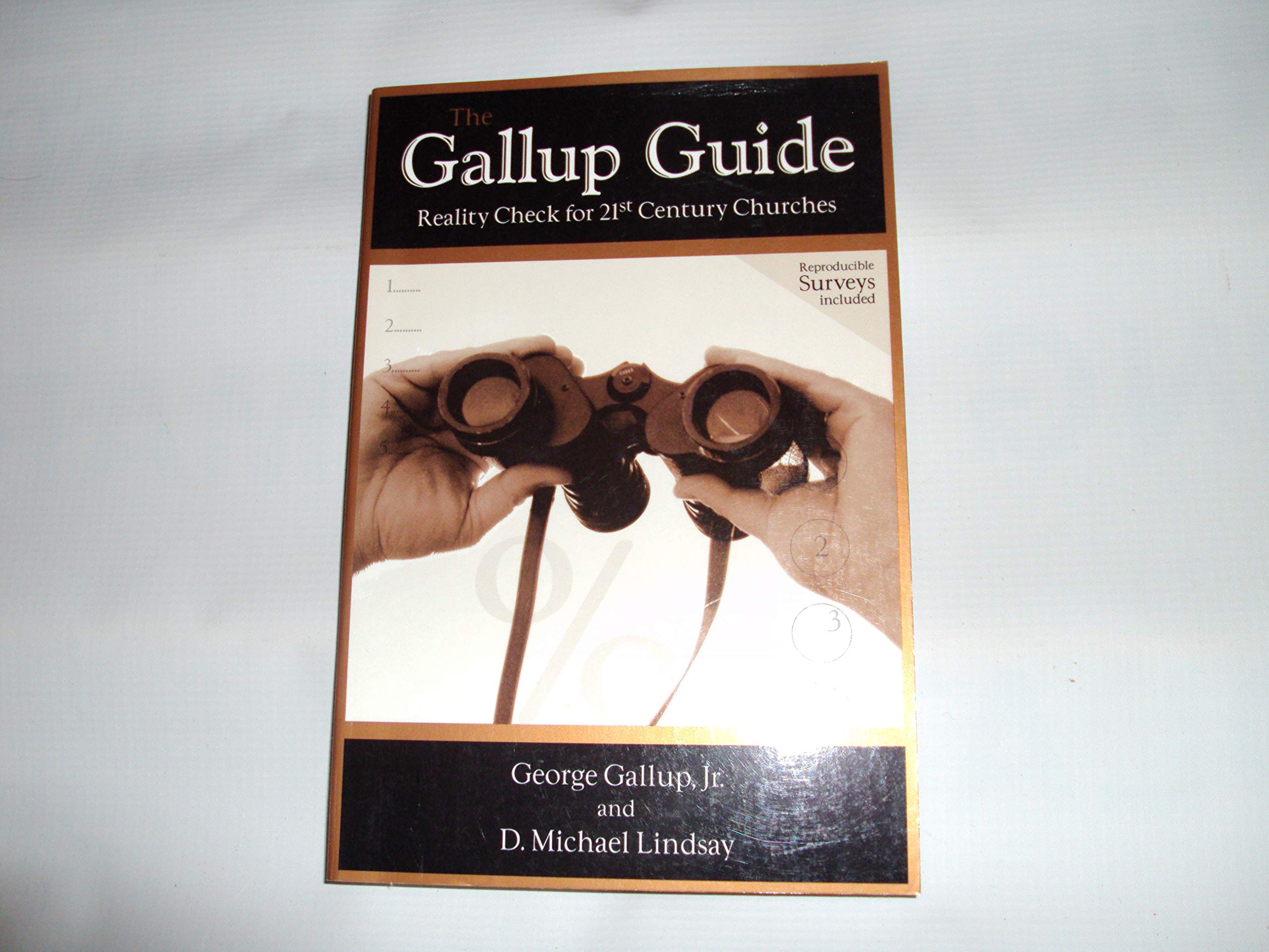 The Gallup Guide: Reality Check for 21st Century Churches used book depot