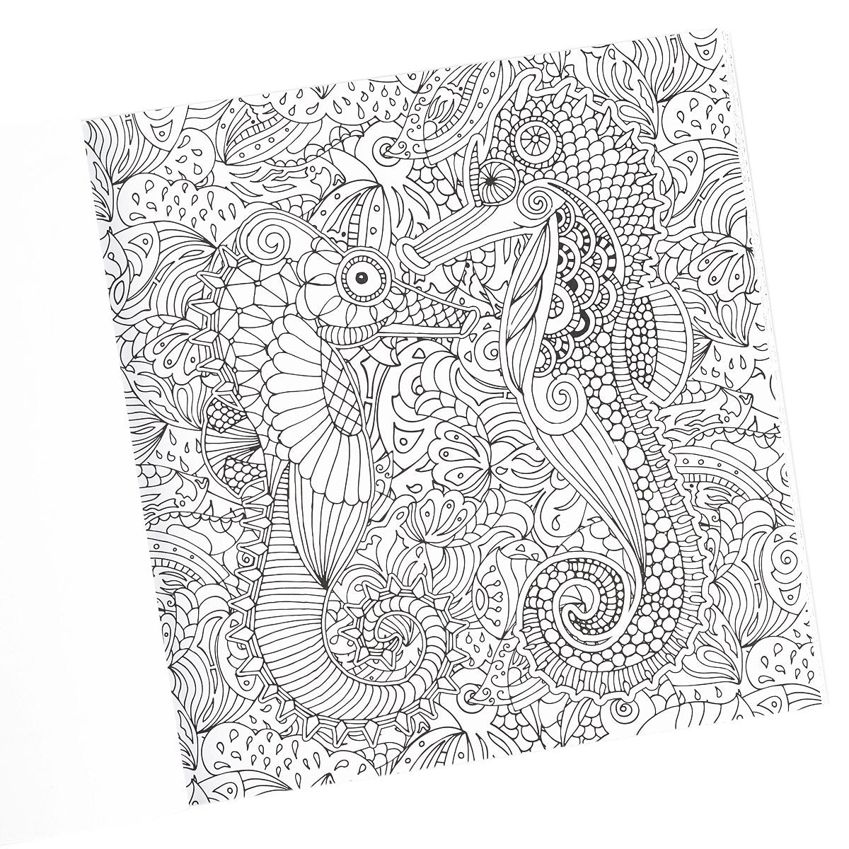 "Shine": Color Your Life Beautiful Inspirational Adult Coloring Book used book depot
