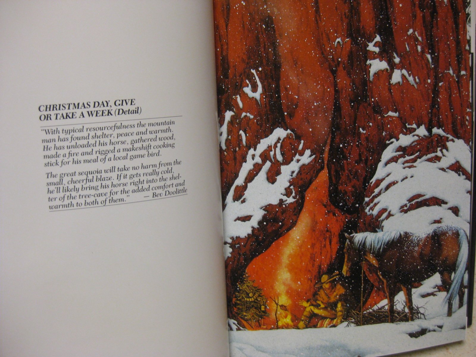 The Art of Bev Doolittle used book depot