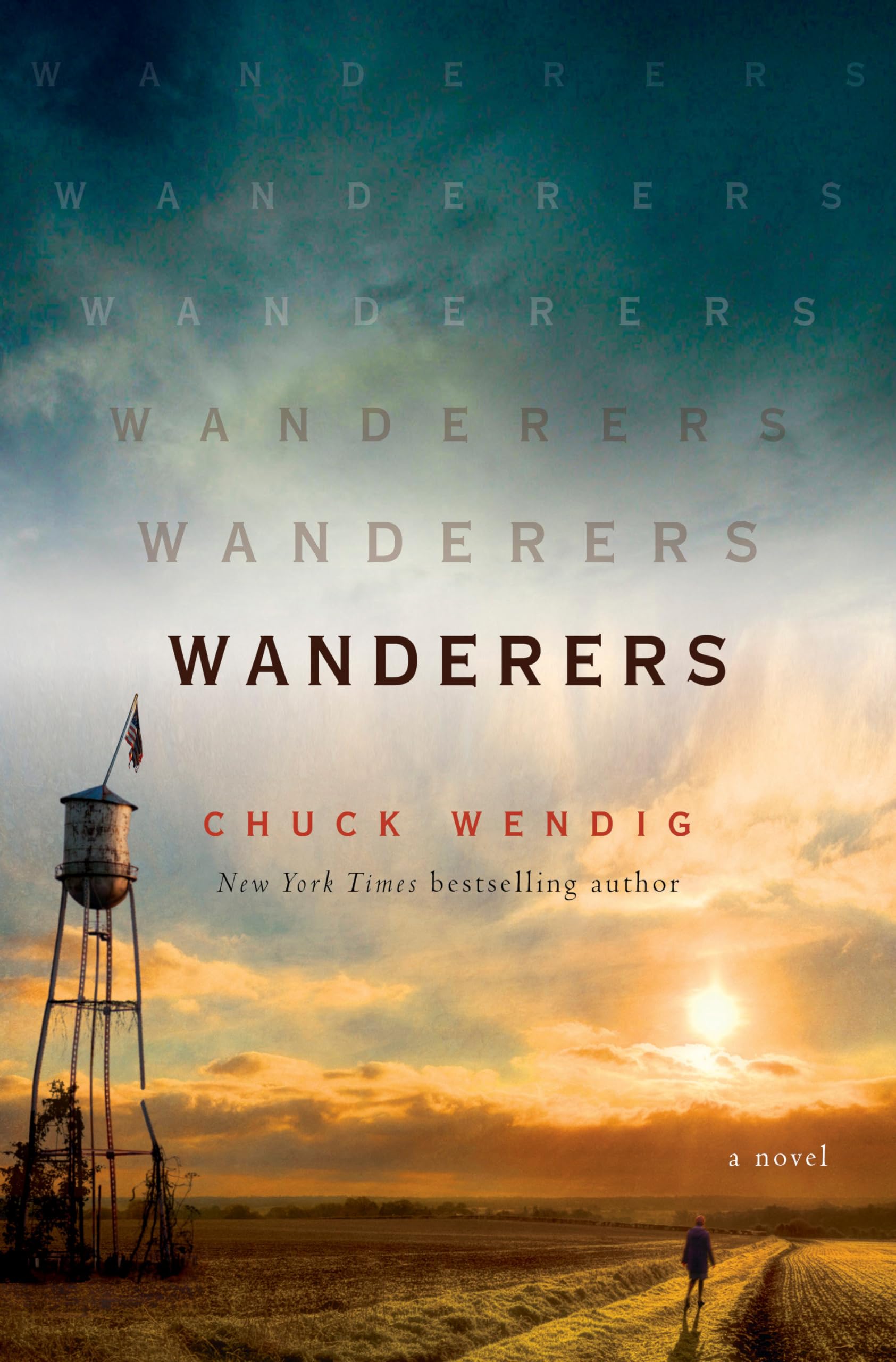 Wanderers: A Novel used book depot