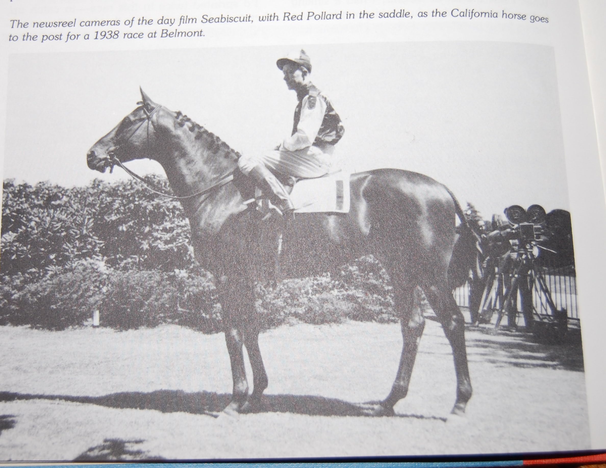 Right from the Horse's Mouth: The Lives and Races of America's Great Thoroughbreds As Told in Their Own Words used book depot