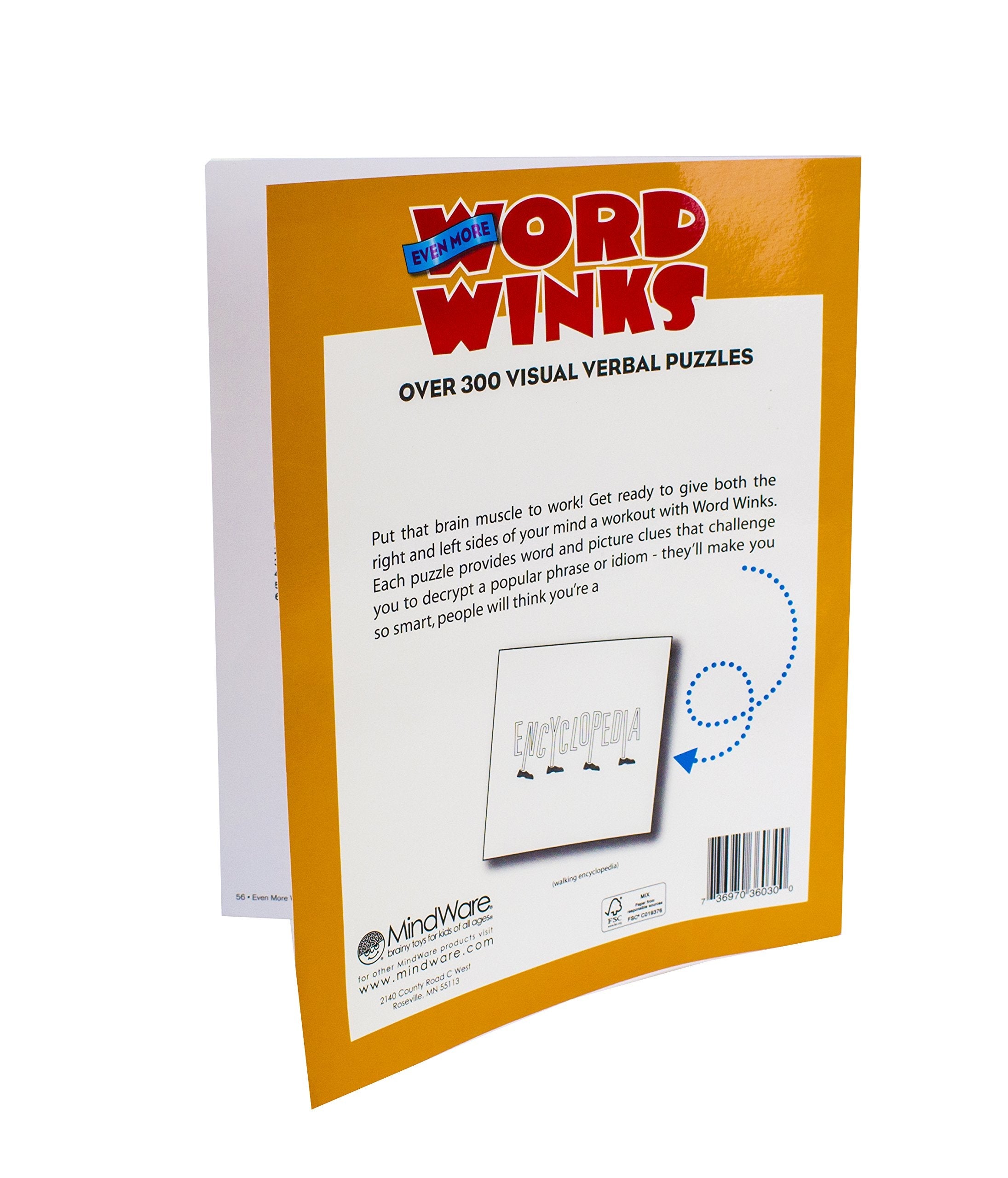 MindWare Even More Word Winks used book depot