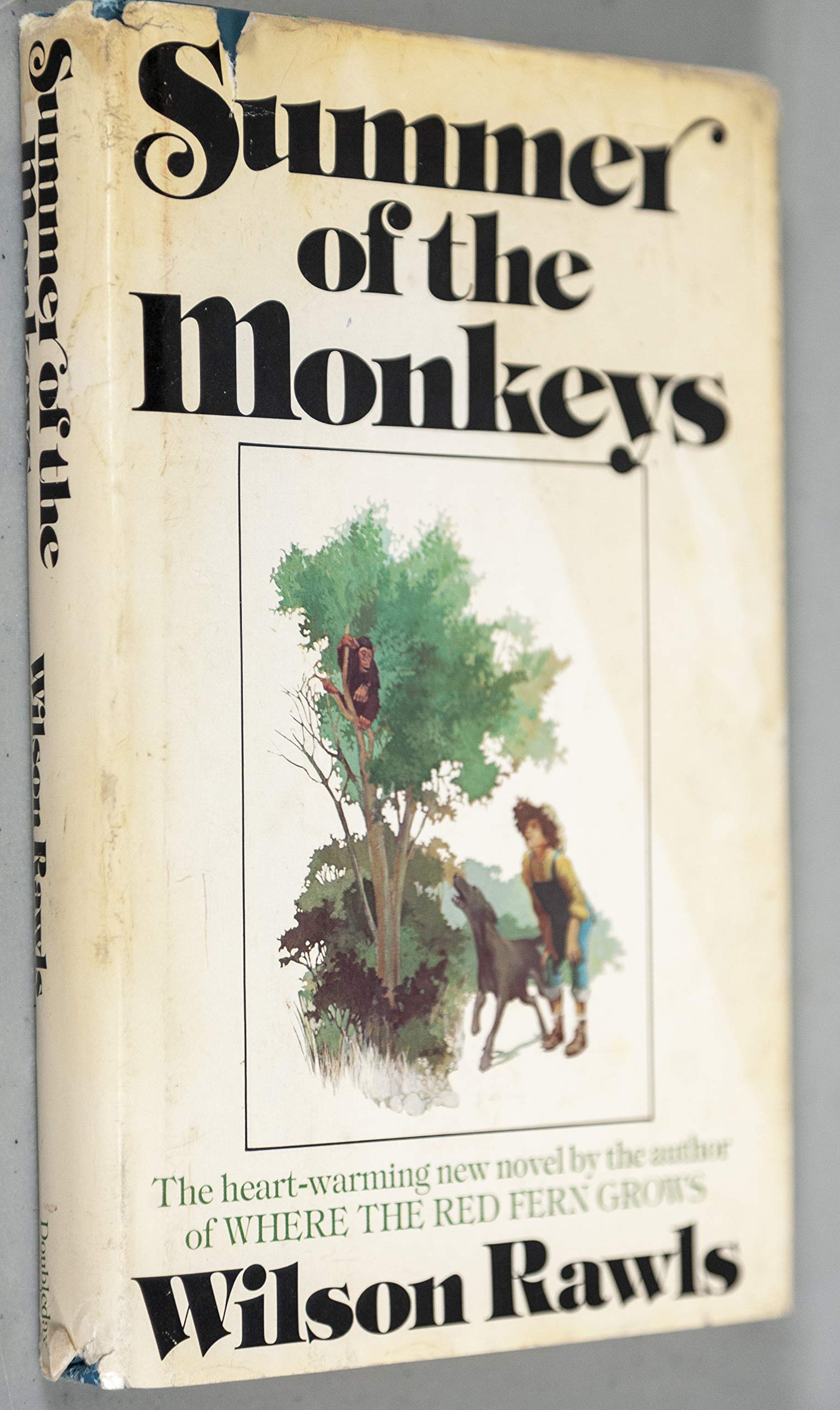 Summer of the Monkeys used book depot