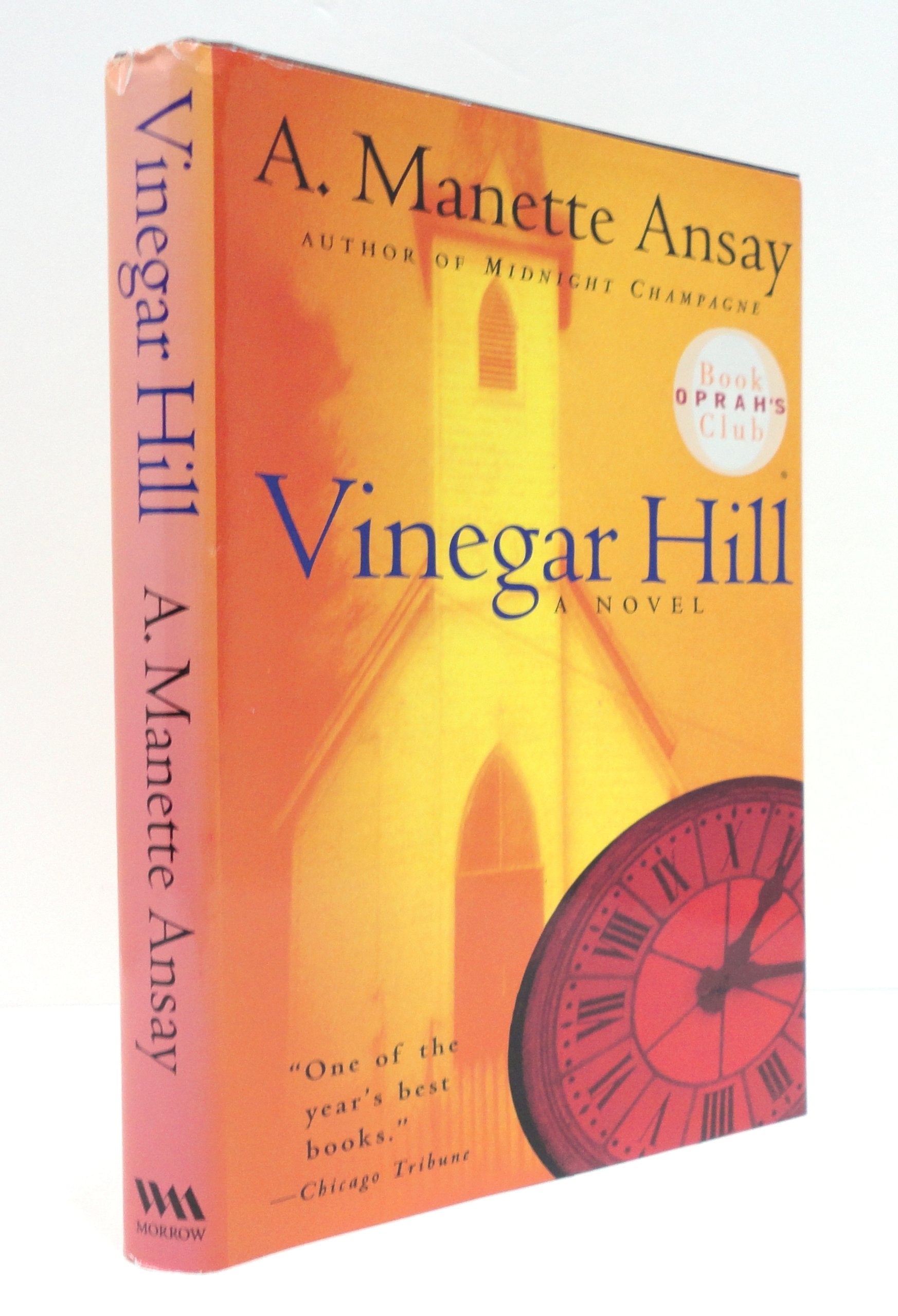 Vinegar Hill: A Novel used book depot