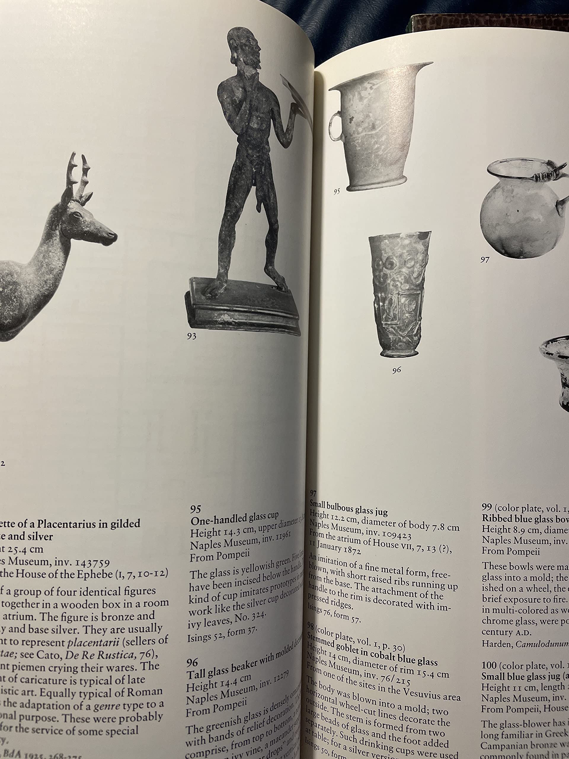 Pompeii A.D. 79: Treasures from the National Archaeological Museum, Naples, and the Pompeii Antiquarium (Volumes I and II) used book depot