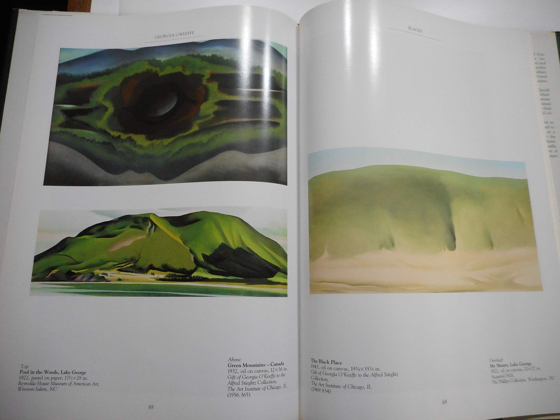 Georgia O'Keeffe: American Art Series used book depot