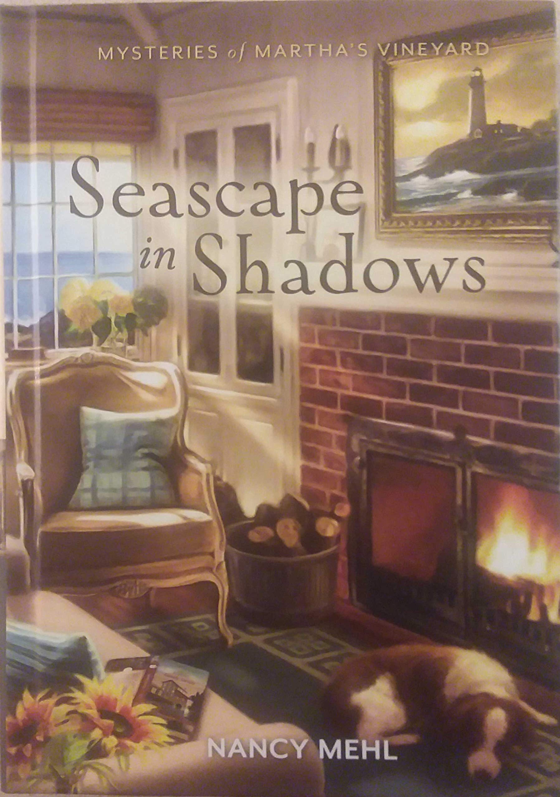 Seascape in Shadows used book depot