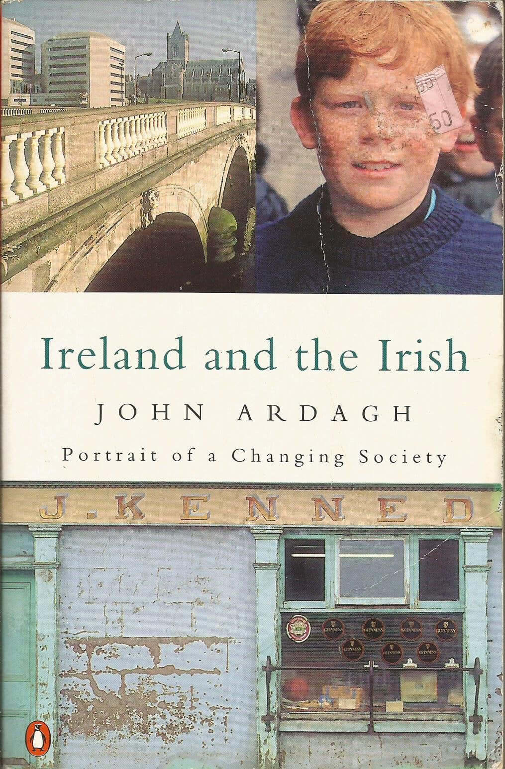 Ireland and the Irish: Portrait of a Changing Society used book depot