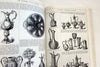 The Crystal Palace Exhibition Illustrated Catalogue (Dover Pictorial Archive Series)