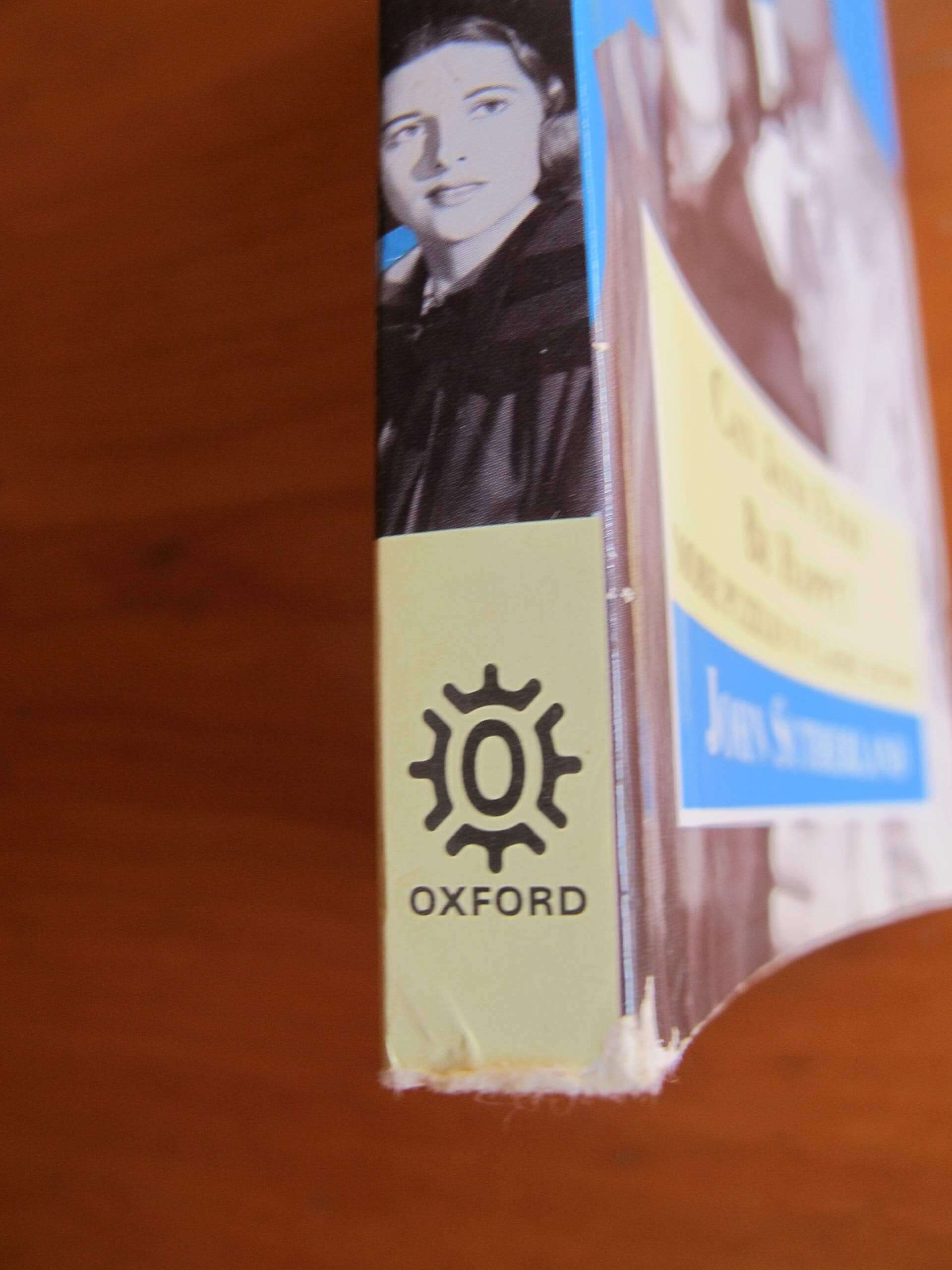 Can Jane Eyre Be Happy?: More Puzzles in Classic Fiction (The ^AWorld's Classics) used book depot