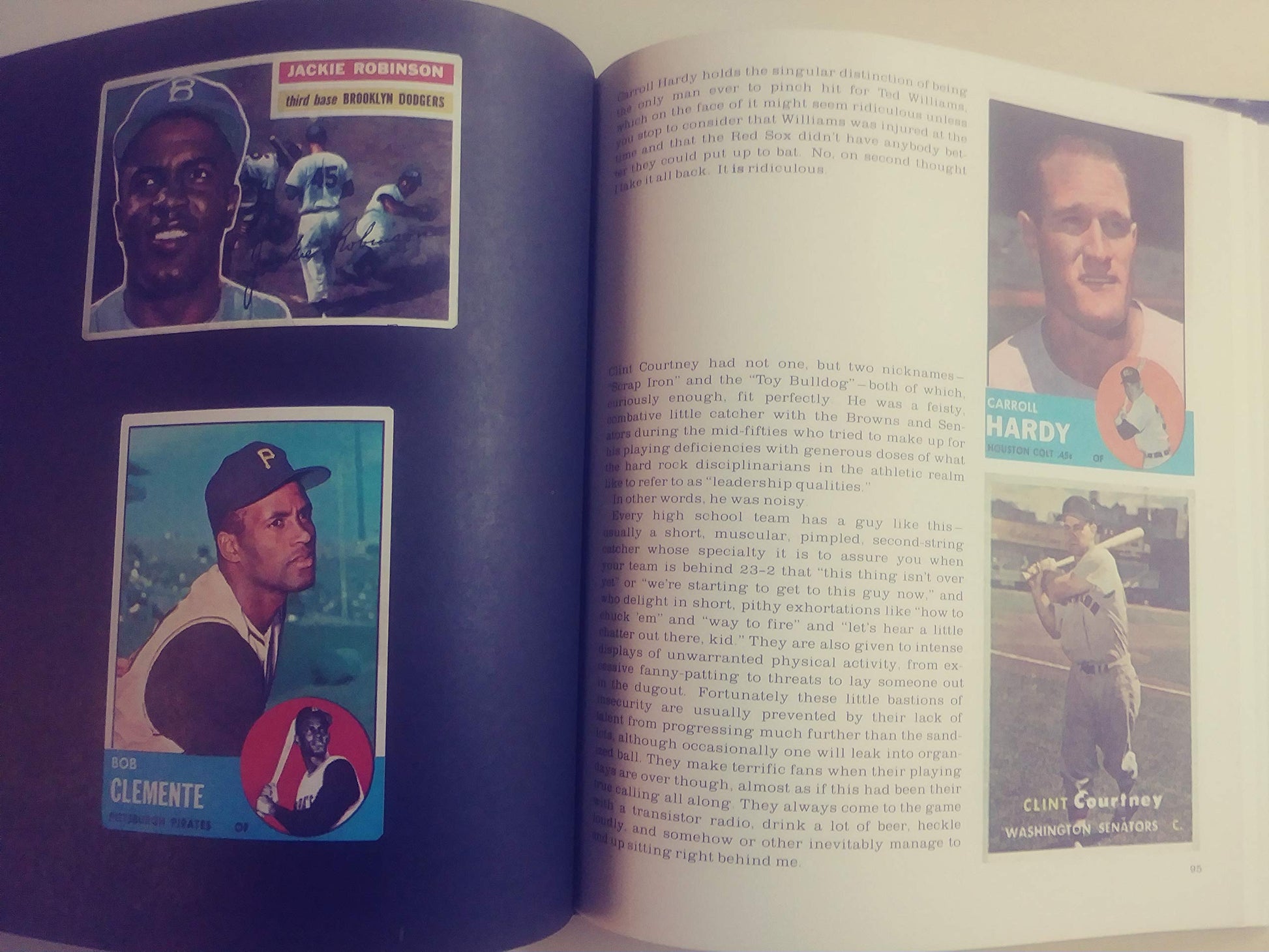 The Great American Baseball Card Flipping, Trading and Bubble Gum Book used book depot