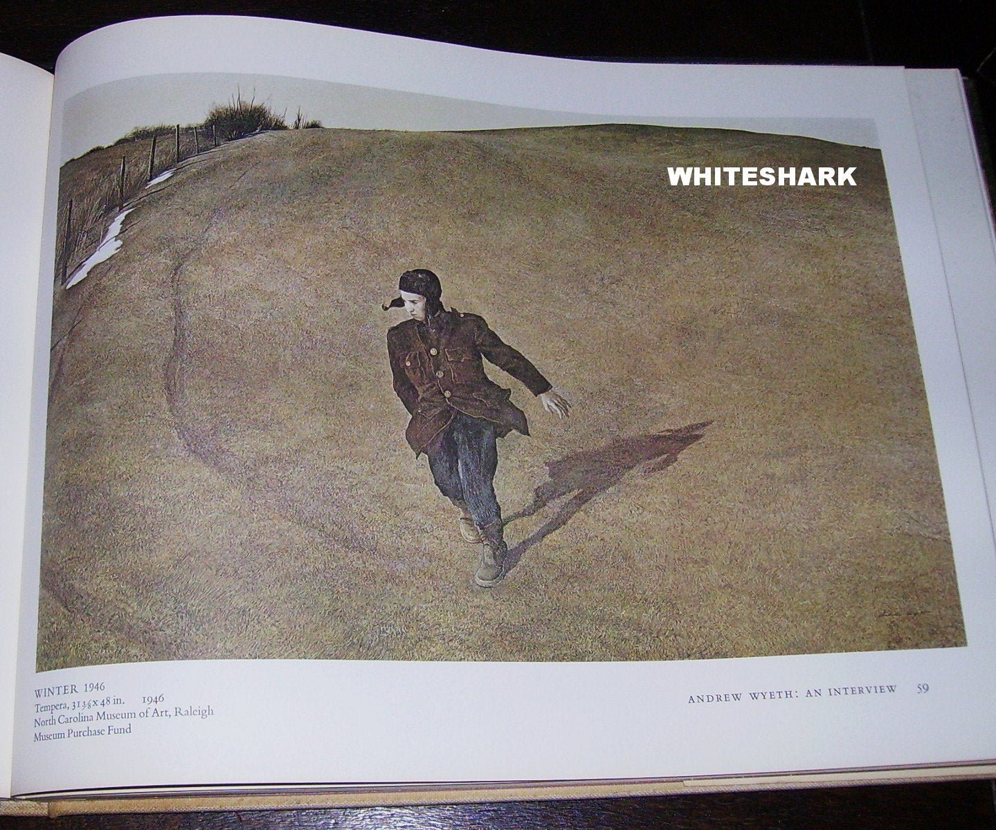 The art of Andrew Wyeth