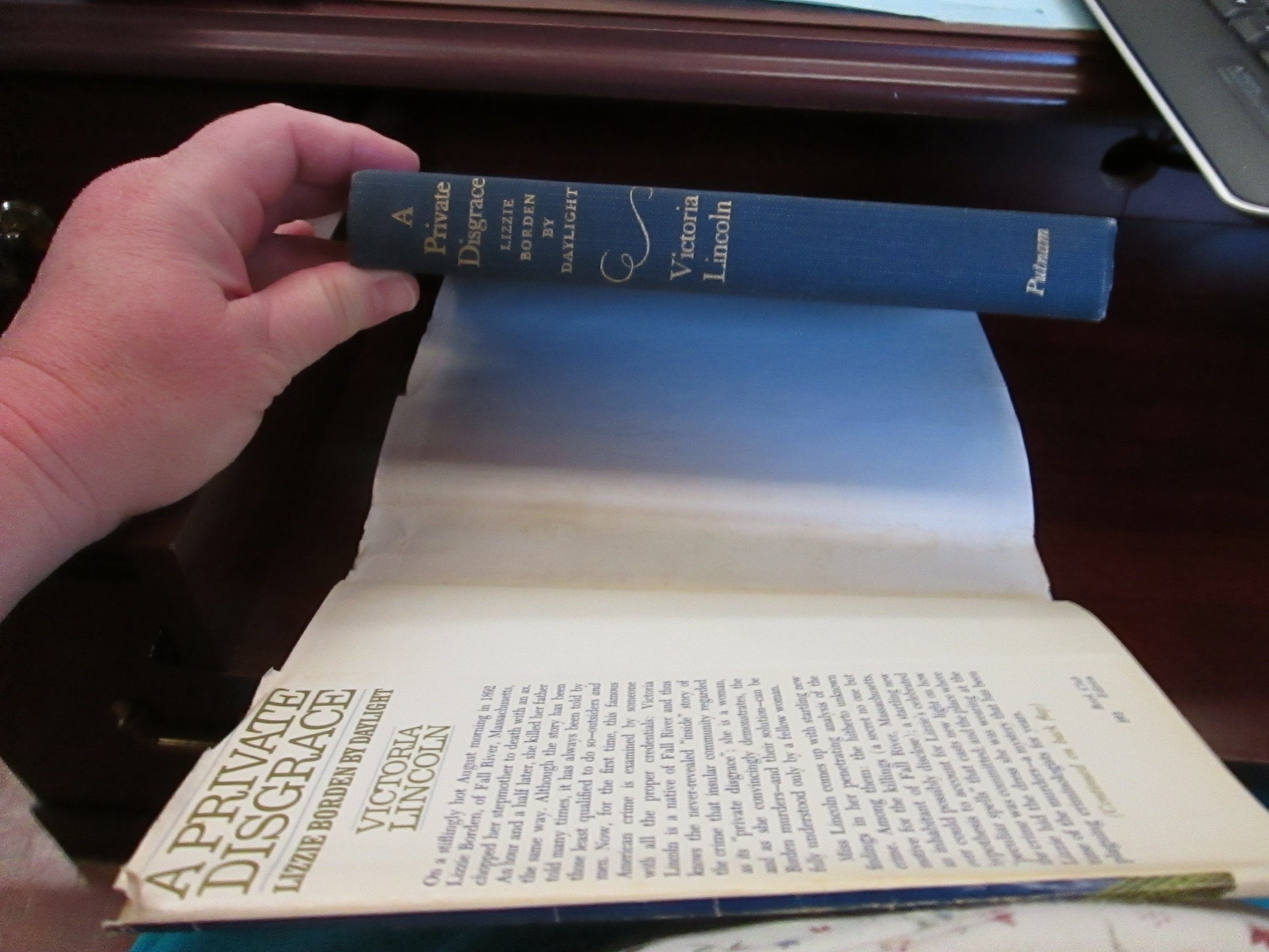 A Private Disgrace: Lizzie Borden by Daylight used book depot