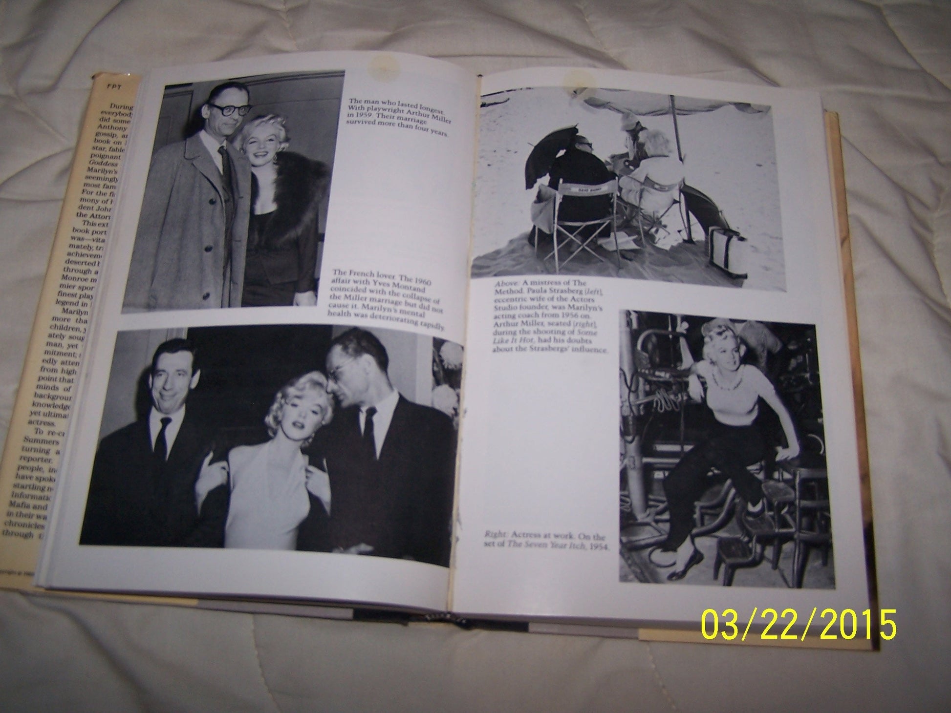 Goddess: The Secret Lives of Marilyn Monroe used book depot
