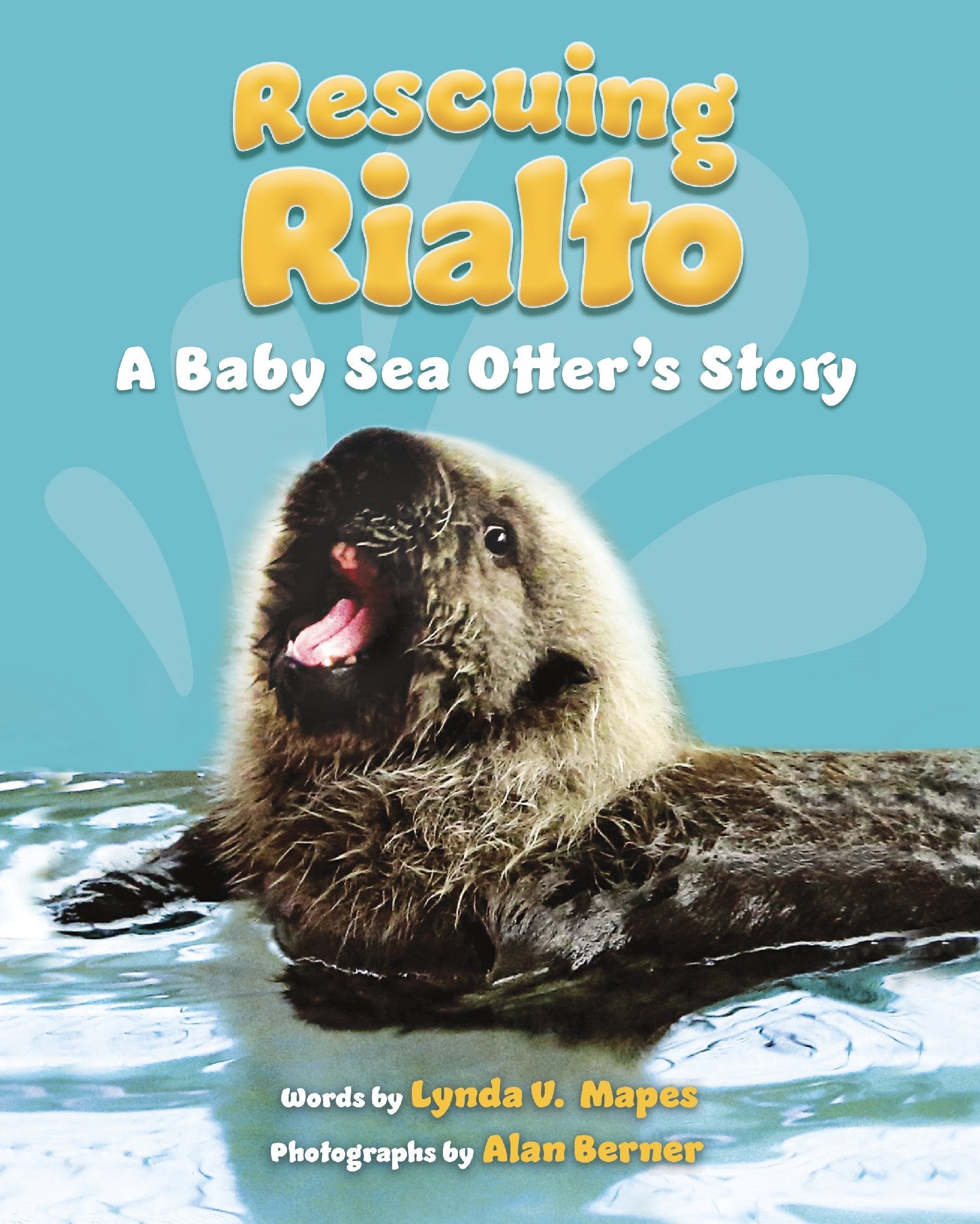 Rescuing Rialto: A Baby Sea Otter's Story used book depot