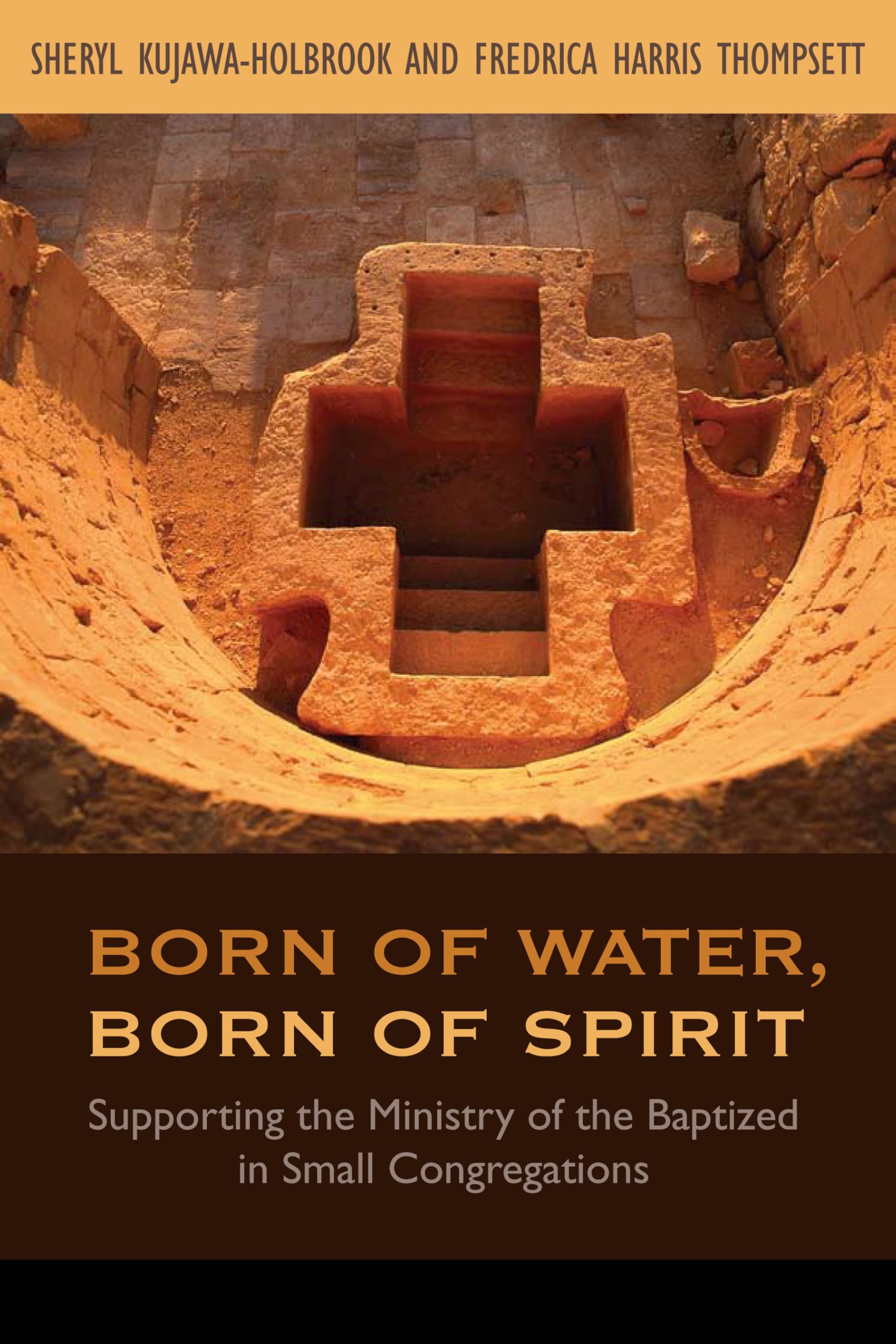 Born of Water, Born of Spirit: Supporting the Ministry of the Baptized in Small Congregations used book depot