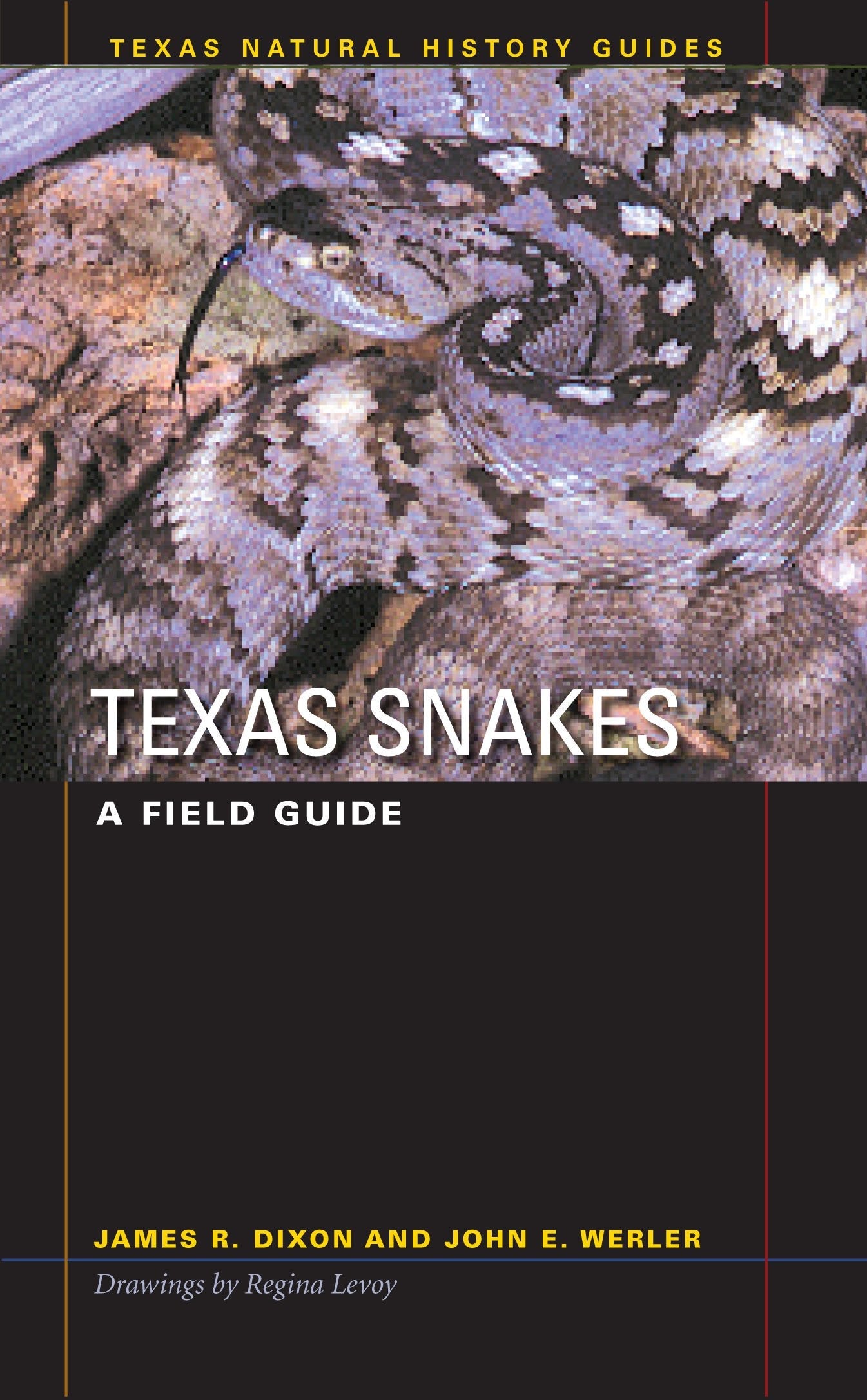 Texas Snakes: A Field Guide (Texas Natural History Guides™) used book depot