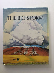 The Big Storm used book depot