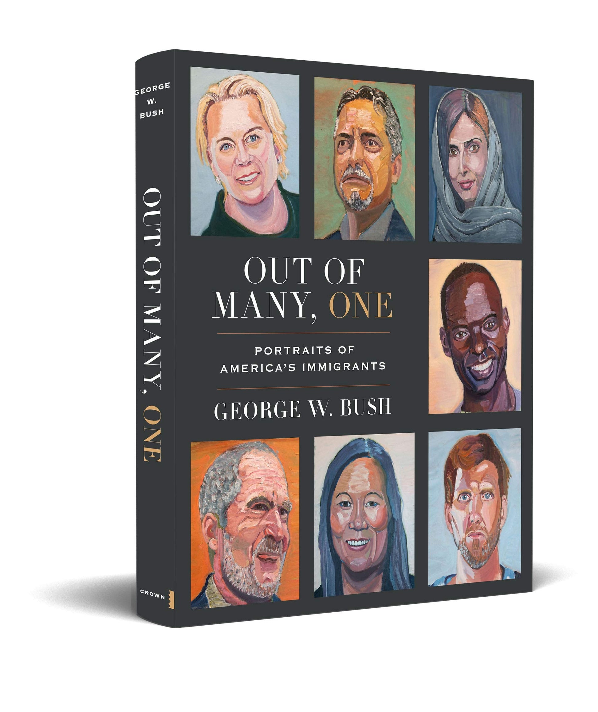 Out of Many, One: Portraits of America's Immigrants used book depot
