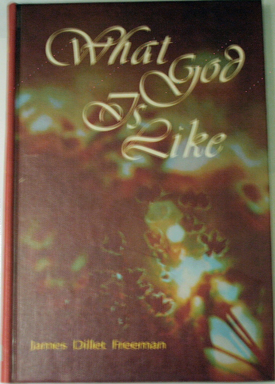 What God is like used book depot