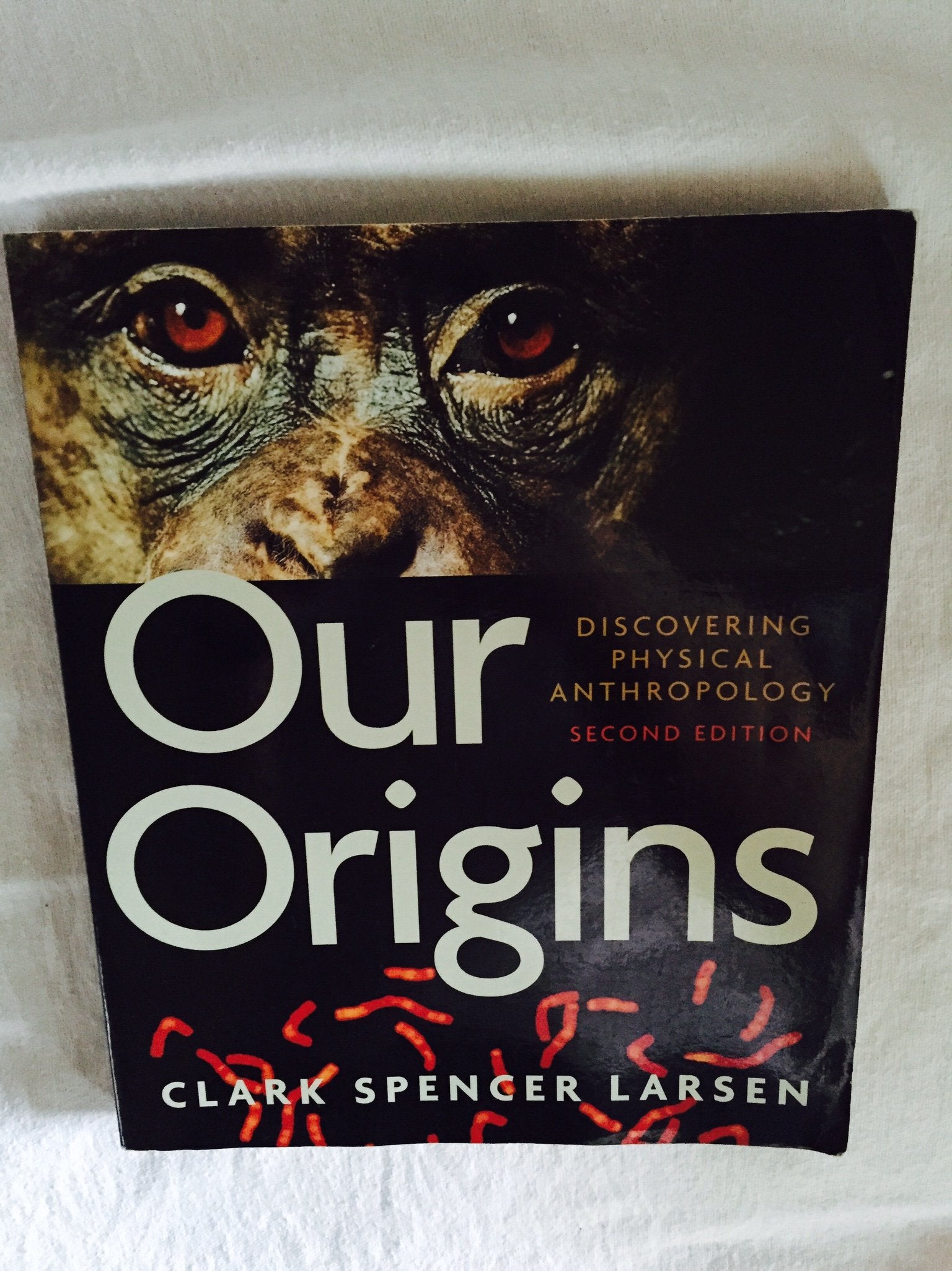 Our Origins: Discovering Physical Anthropology (Second Edition)