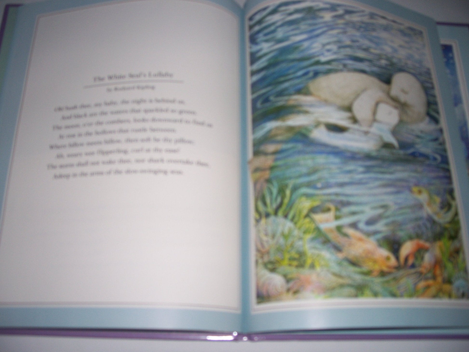 The Baby's Bedtime Book used book depot