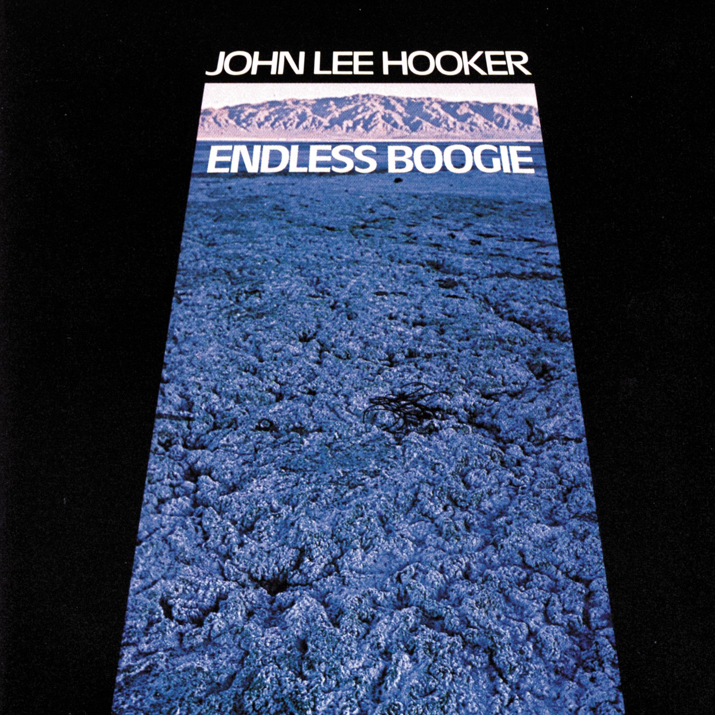 Endless Boogie used book depot