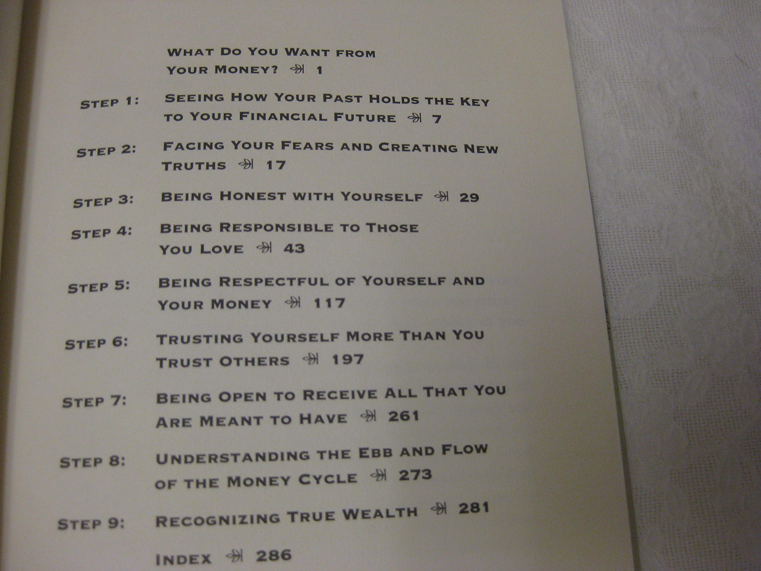 The 9 Steps to Financial Freedom used book depot