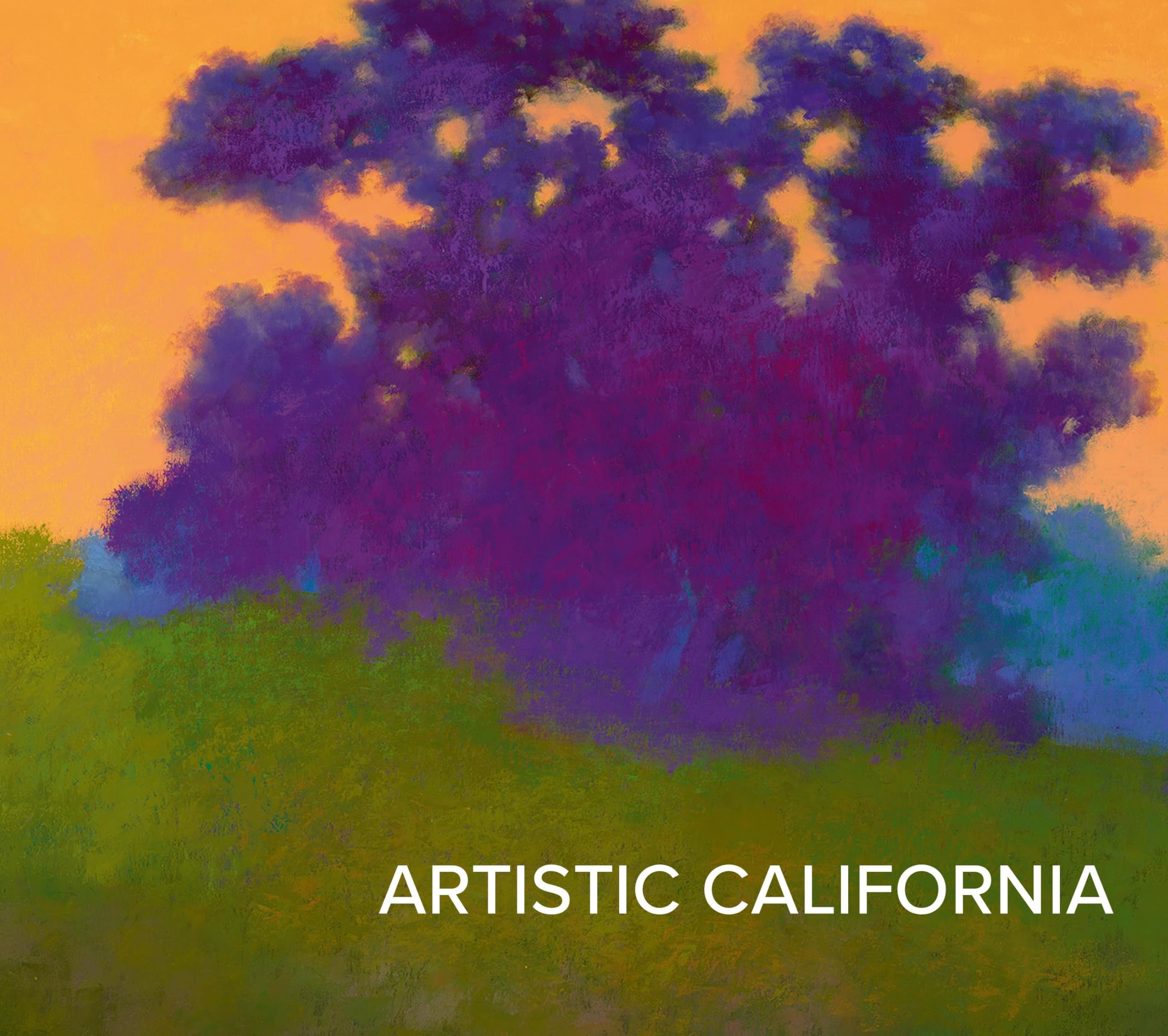 Artistic California: Regional Art from the Collection of the Fine Arts Museums of San Francisco used book depot