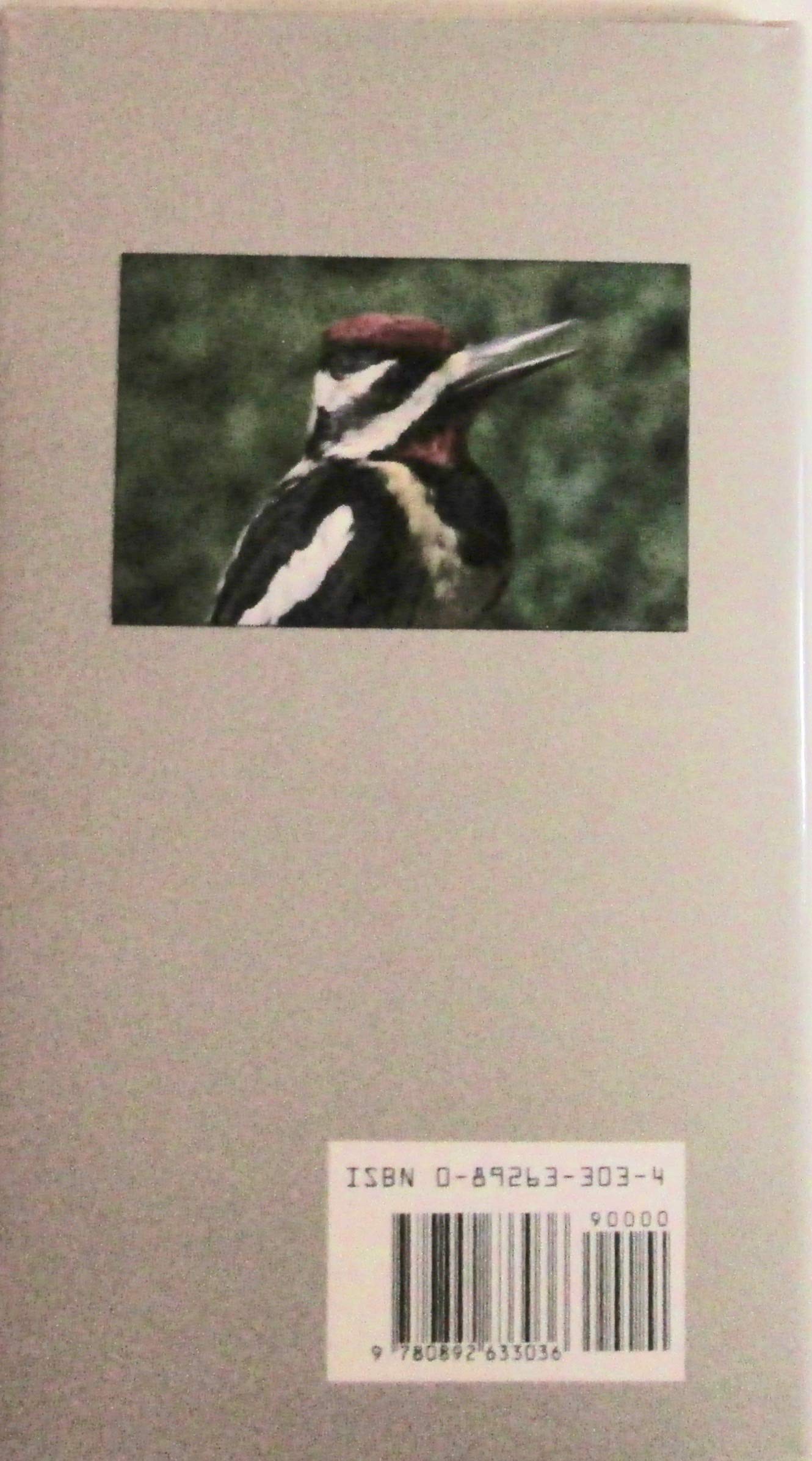 Birds of Houston used book depot